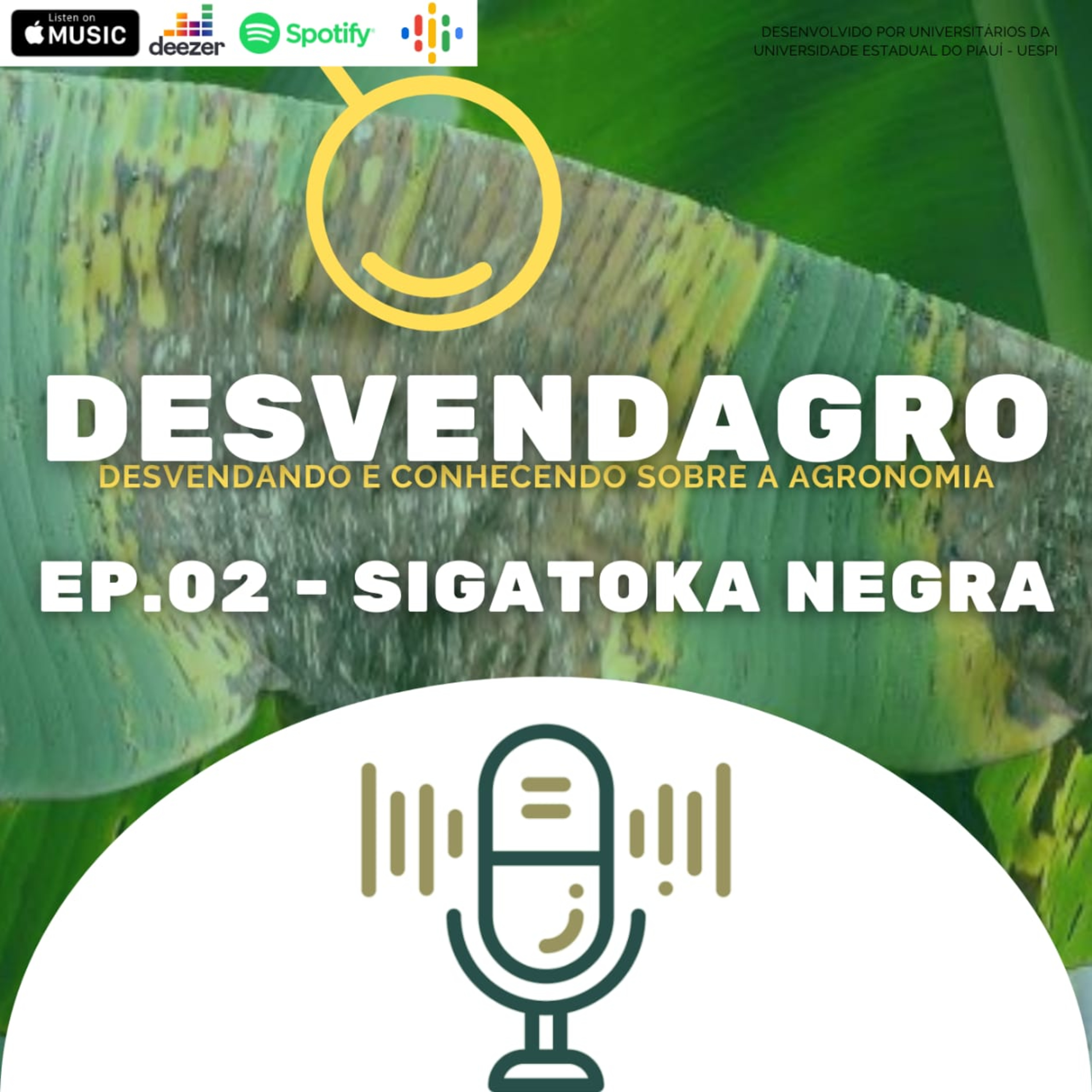 DESVENDAGRO 02 - SIGATOKA NEGRA