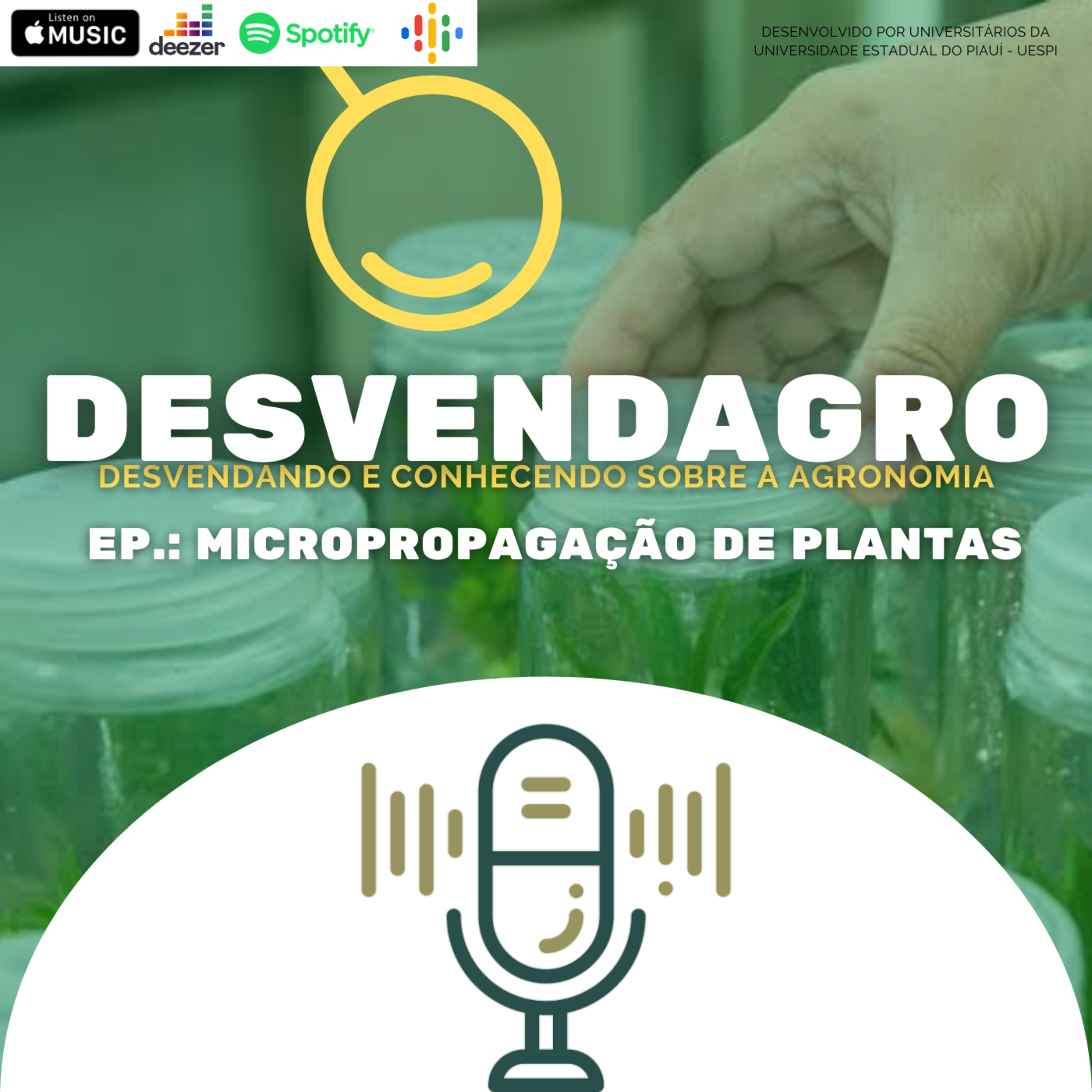 MICROPROPAGAÇÃO DE PLANTAS