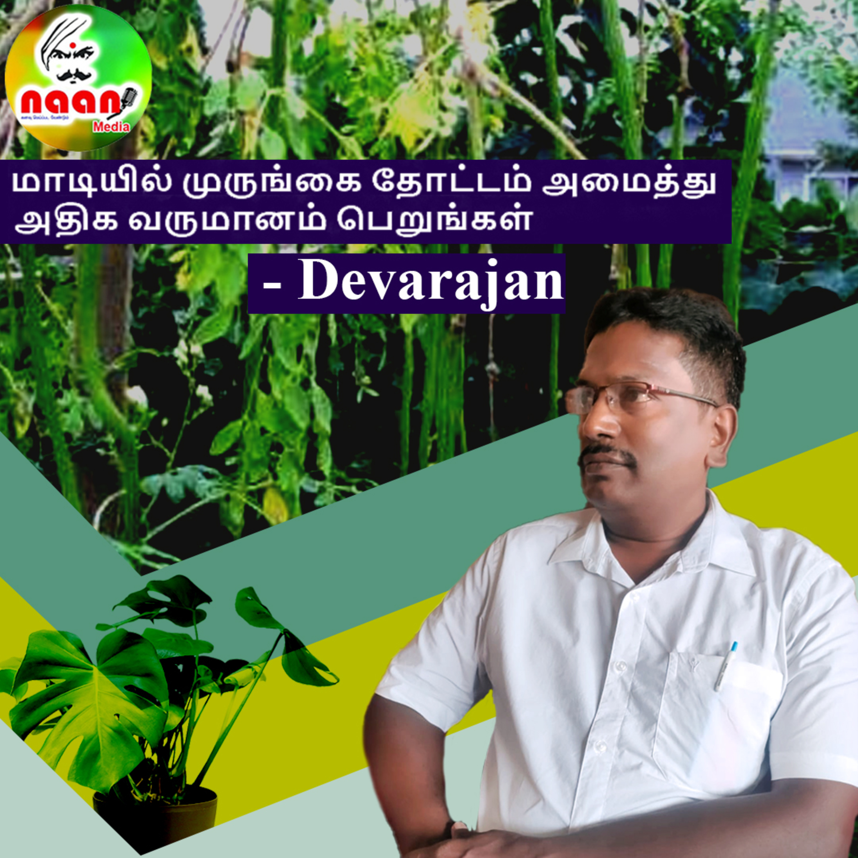 மாடியில் முருங்கை தோட்டம் அமைத்து அதிக வருமானம் பெறுங்கள் ஆலோசனை வழங்குபவர் - தேவராஜன் episode artwork