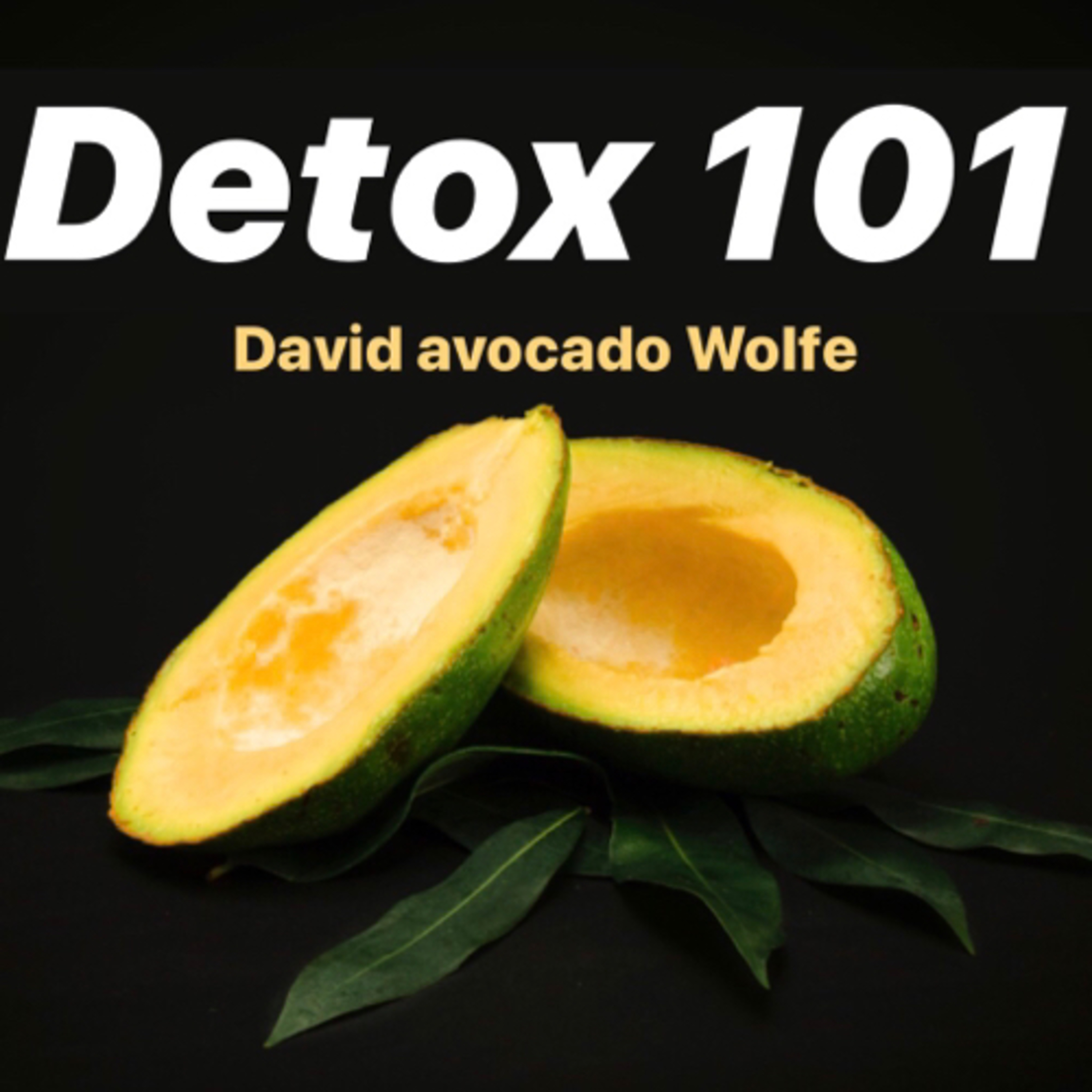 Detox 101 with David Wolfe