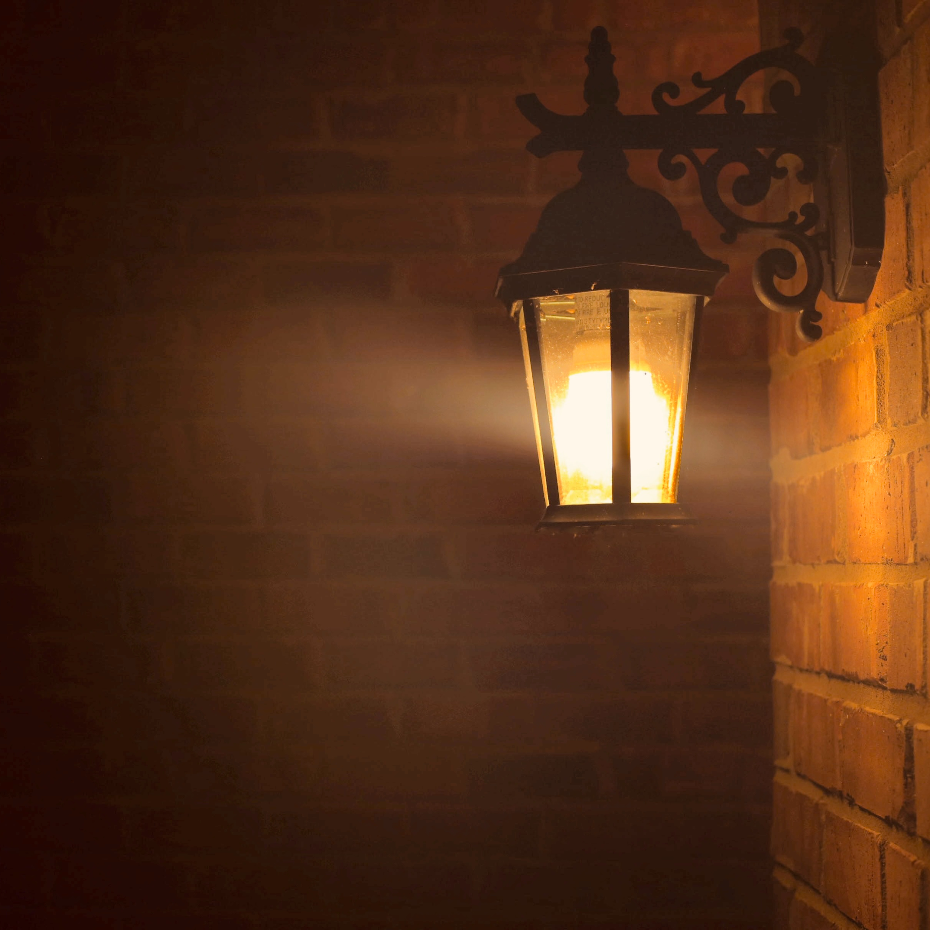 Parented by Porchlight episode artwork