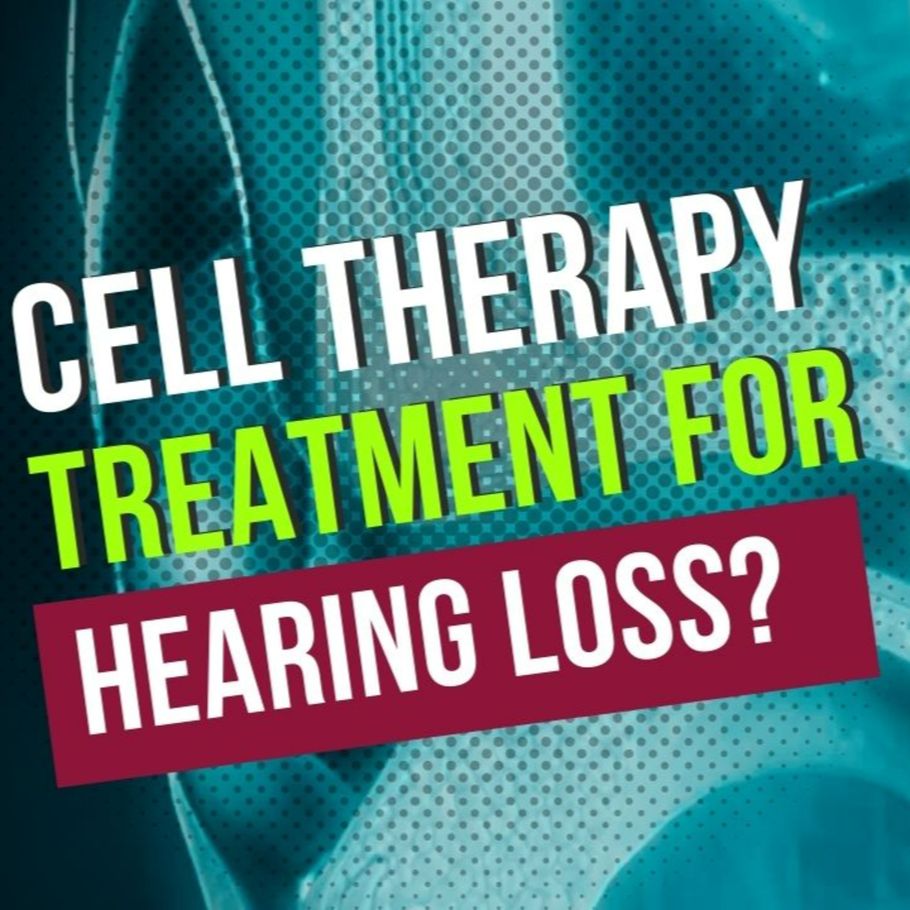 053 - Cell Treatments for Hearing Loss: Interview with Brian Culley of Lineage Cell Therapeutics episode artwork