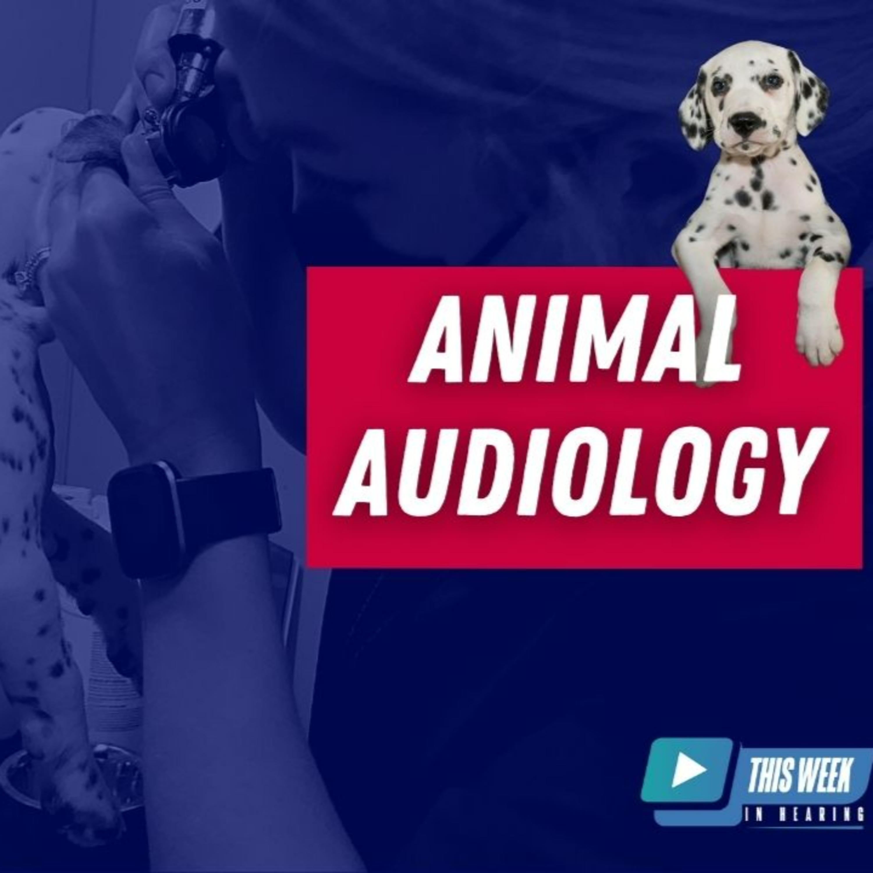 090 - Animal Audiology: A Discussion with FETCHLAB™ Akron Director, Dr. Kristine Sontrsom Malowski episode artwork