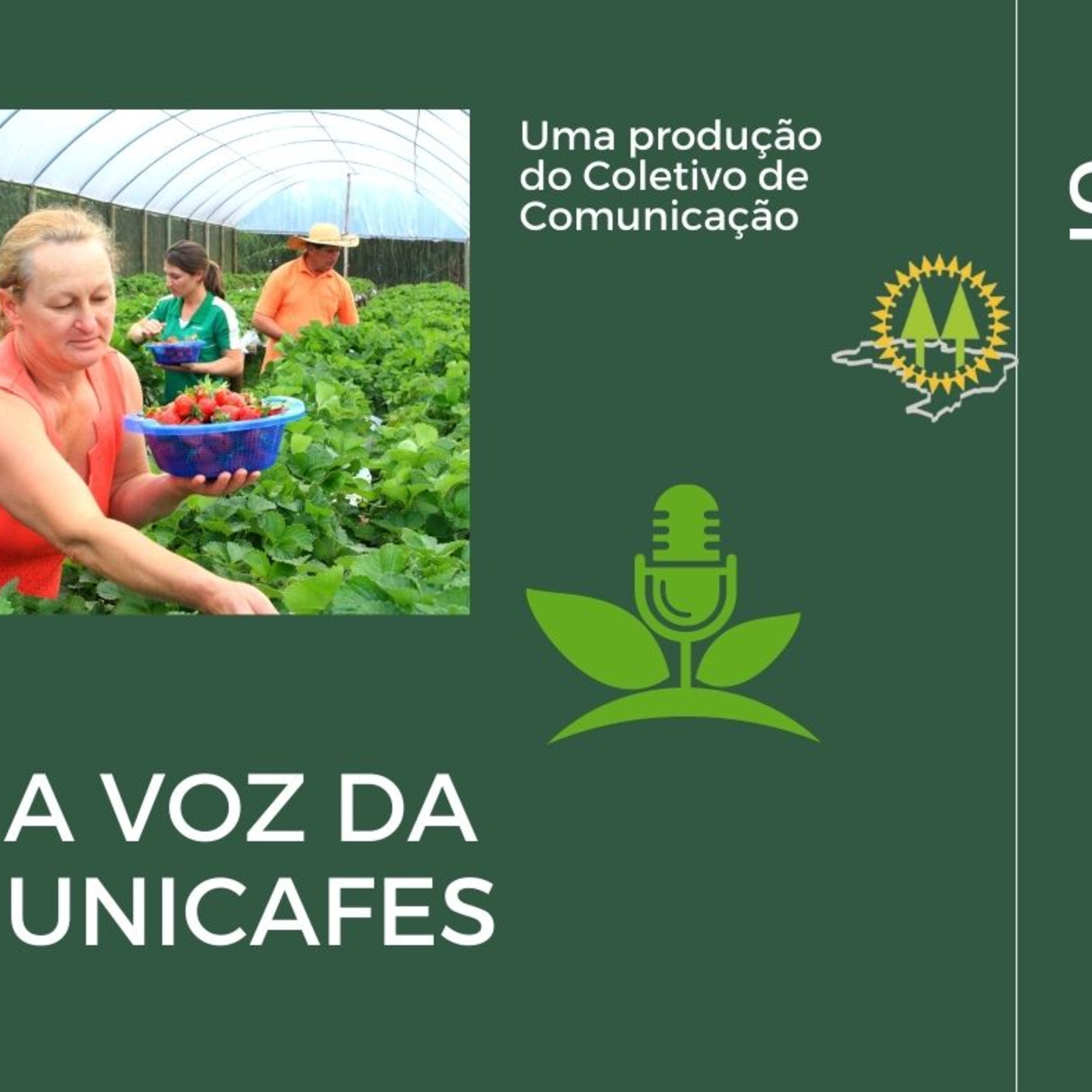 Unicafes Nacional - Canal oficial de podcasts