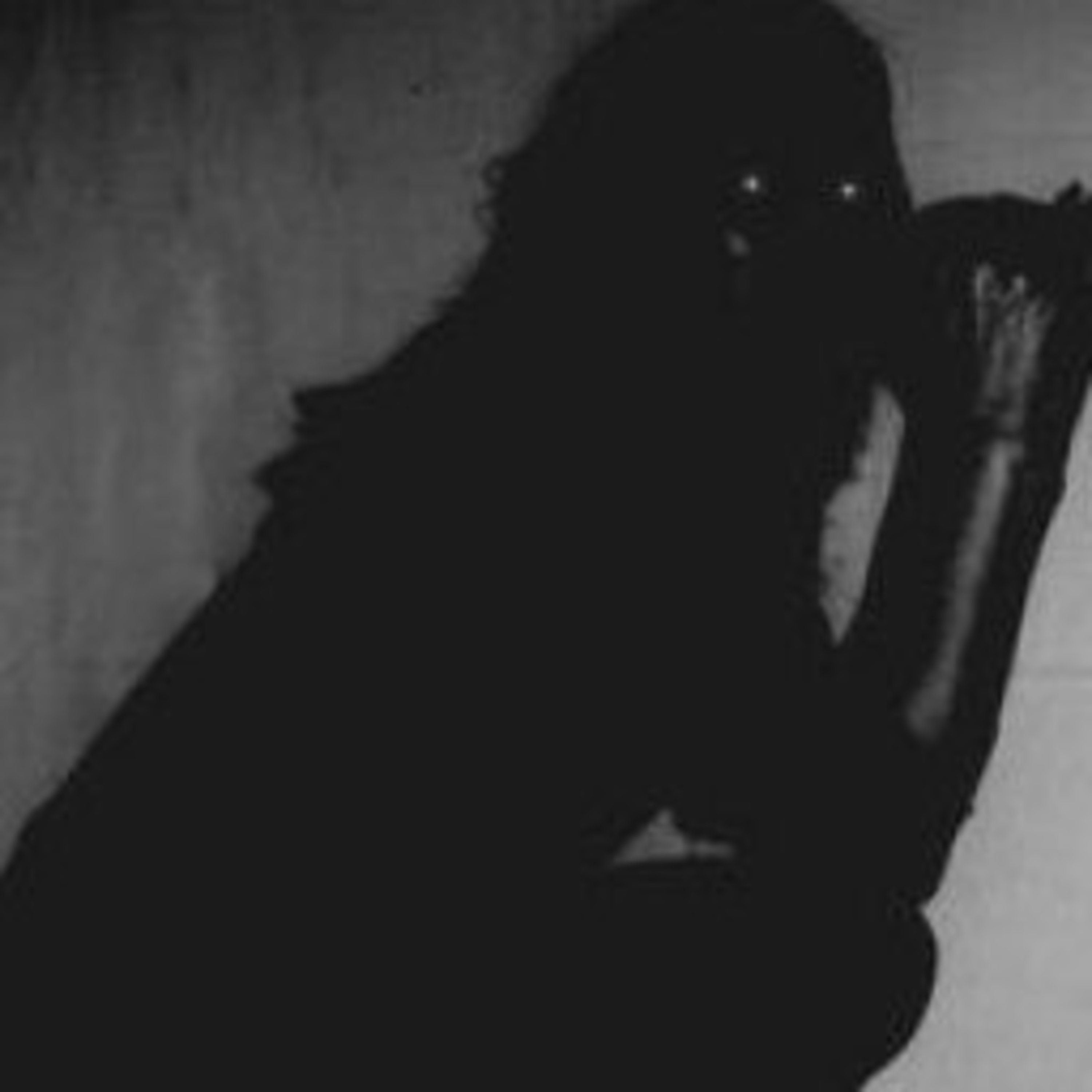 Ngobrol Singkat Bareng Ojol (Oce-Jingga-Olip)