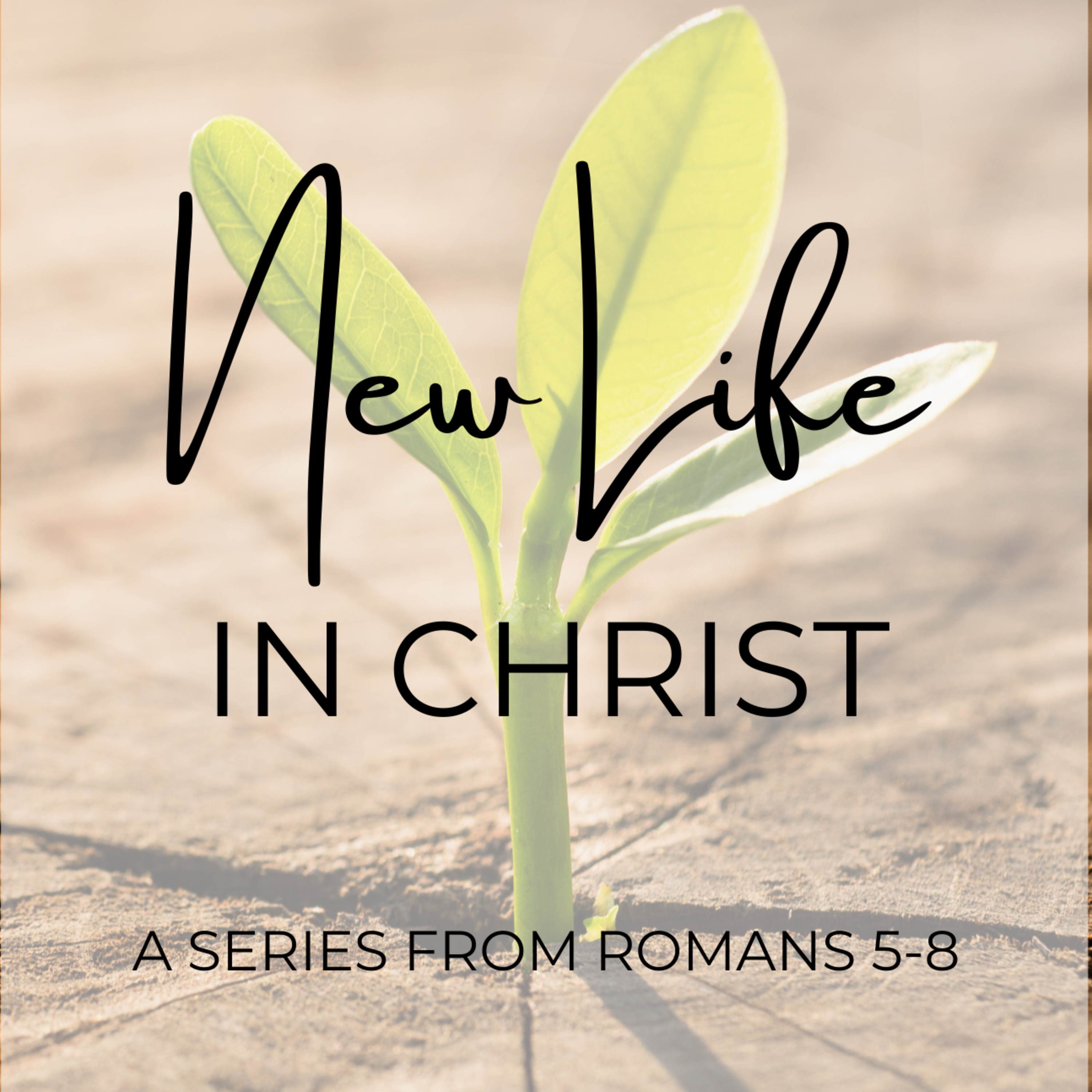 New Life in Christ - Kill Sin or Sin Will Kill You episode artwork