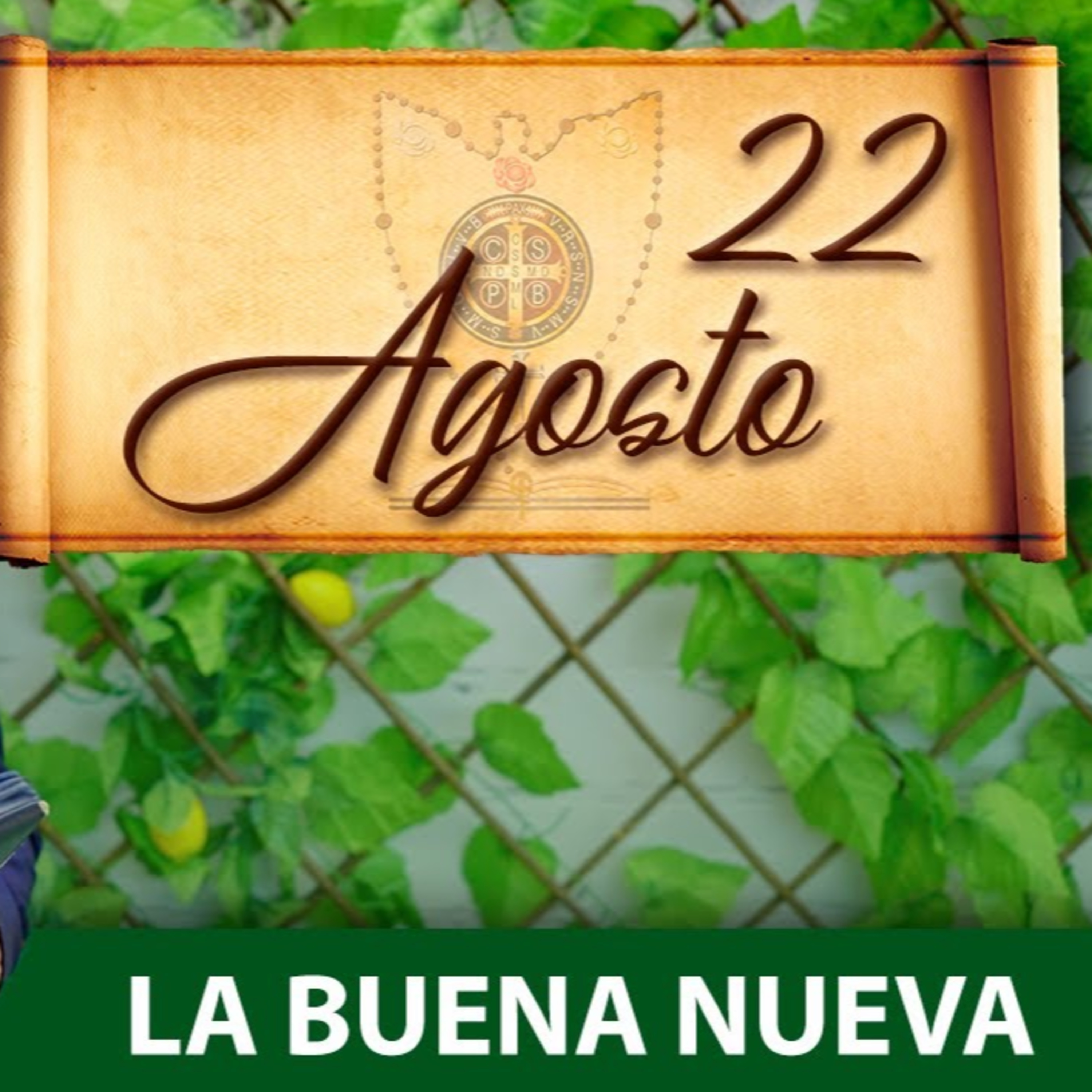 Domingo 22 de Agosto (La Buena Nueva) episode artwork