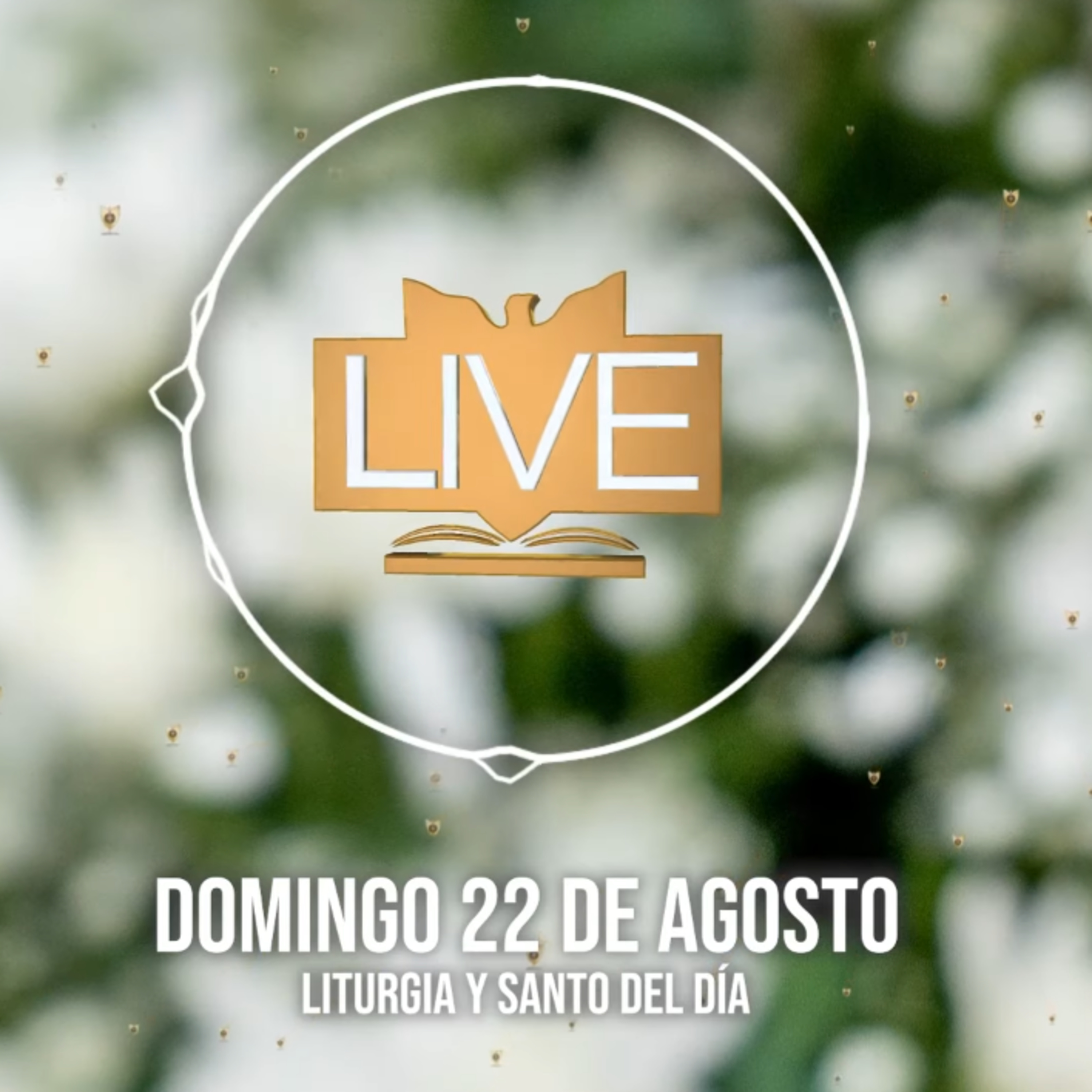 Liturgia y Santo del Día (Domingo 22 de Agosto) episode artwork