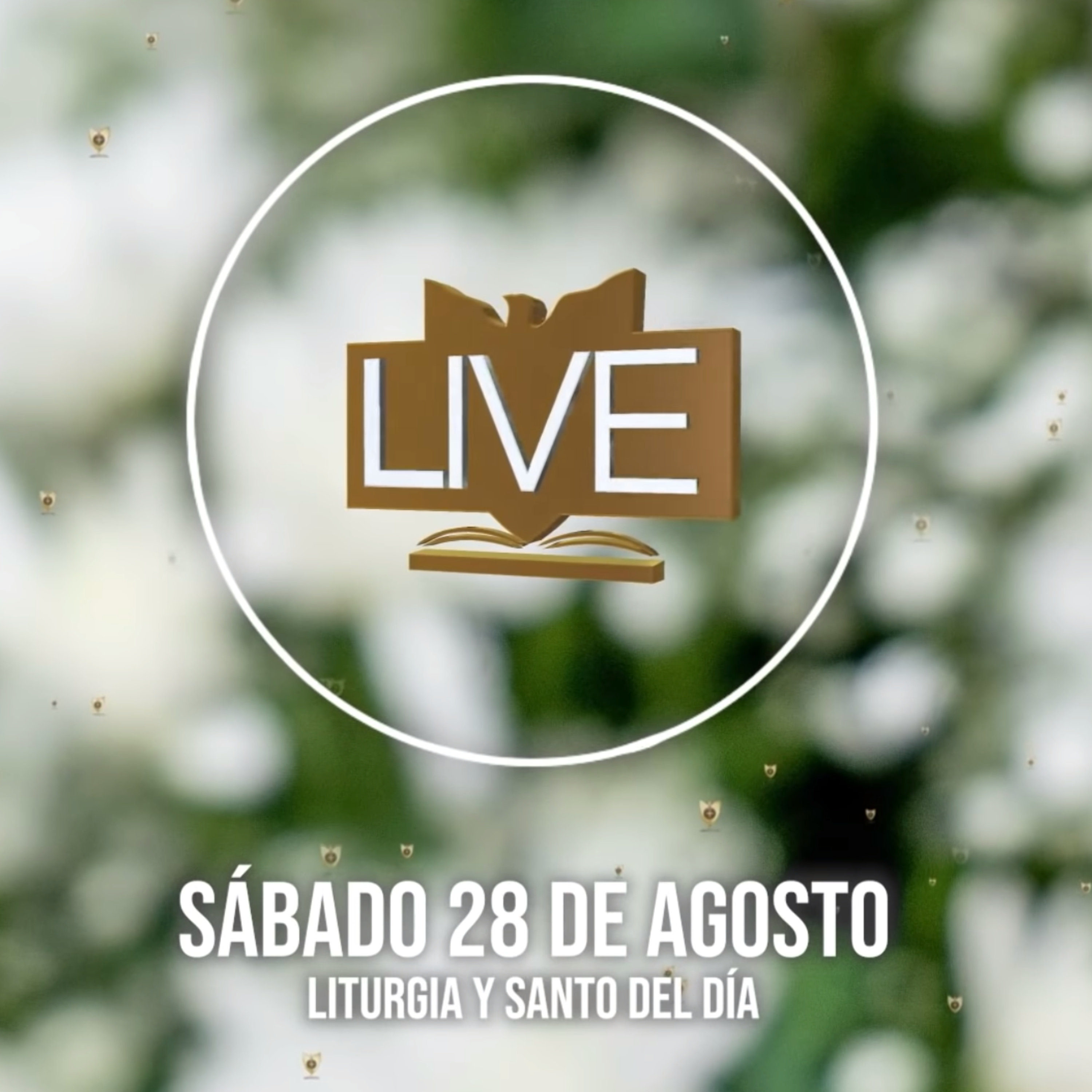 Liturgia y Santo del Día (Sábado 28 de Agosto) episode artwork