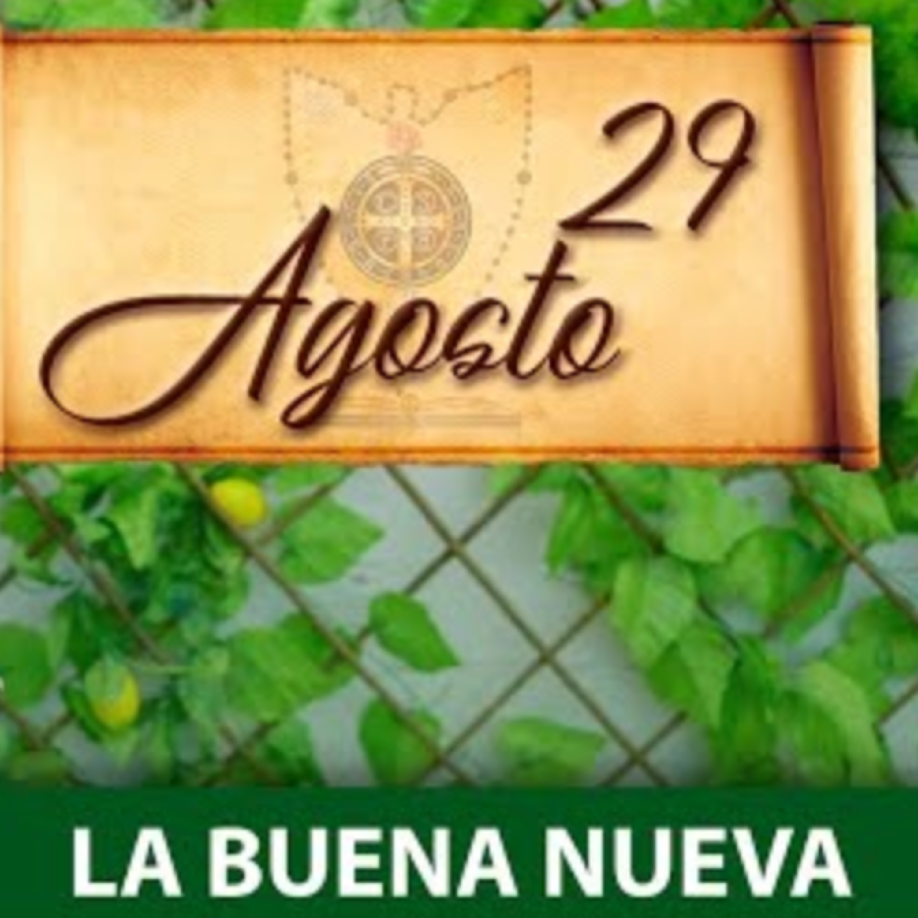 Domingo 29 de Agosto (La Buena Nueva)  episode artwork