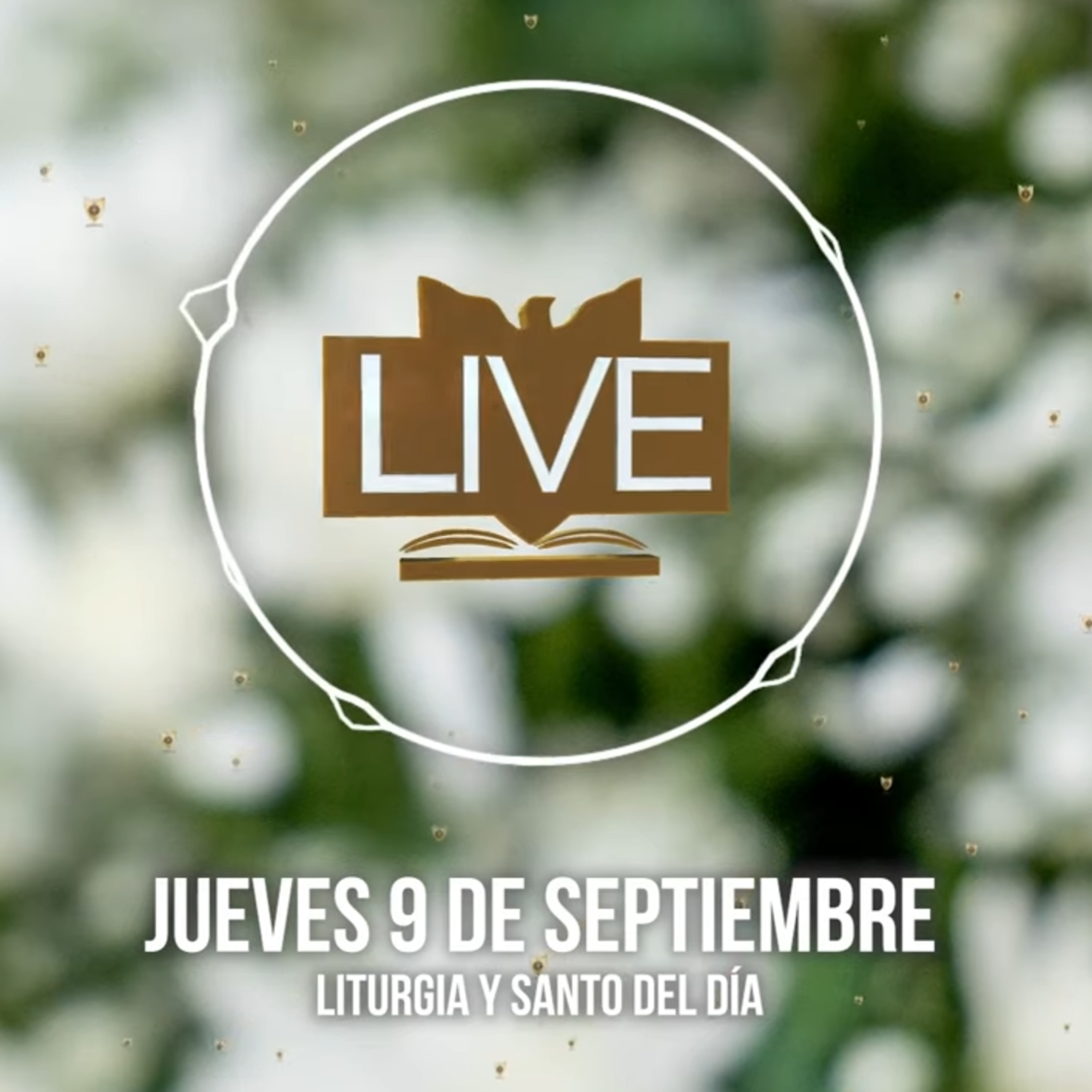 Liturgia y Santo del Día (Jueves 9 de Septiembre) episode artwork