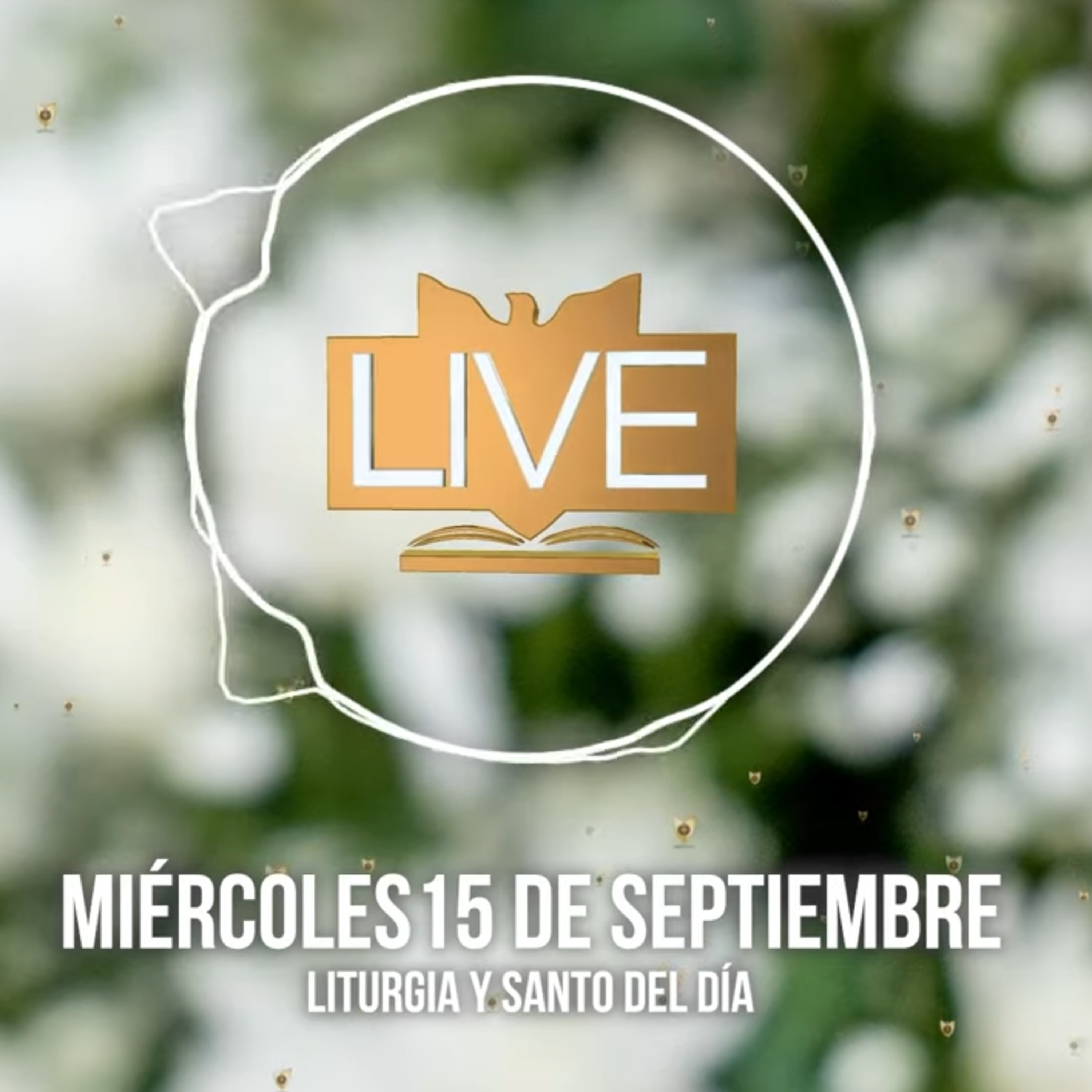 Liturgia y Santo del Día (Miércoles 15 de Septiembre) episode artwork