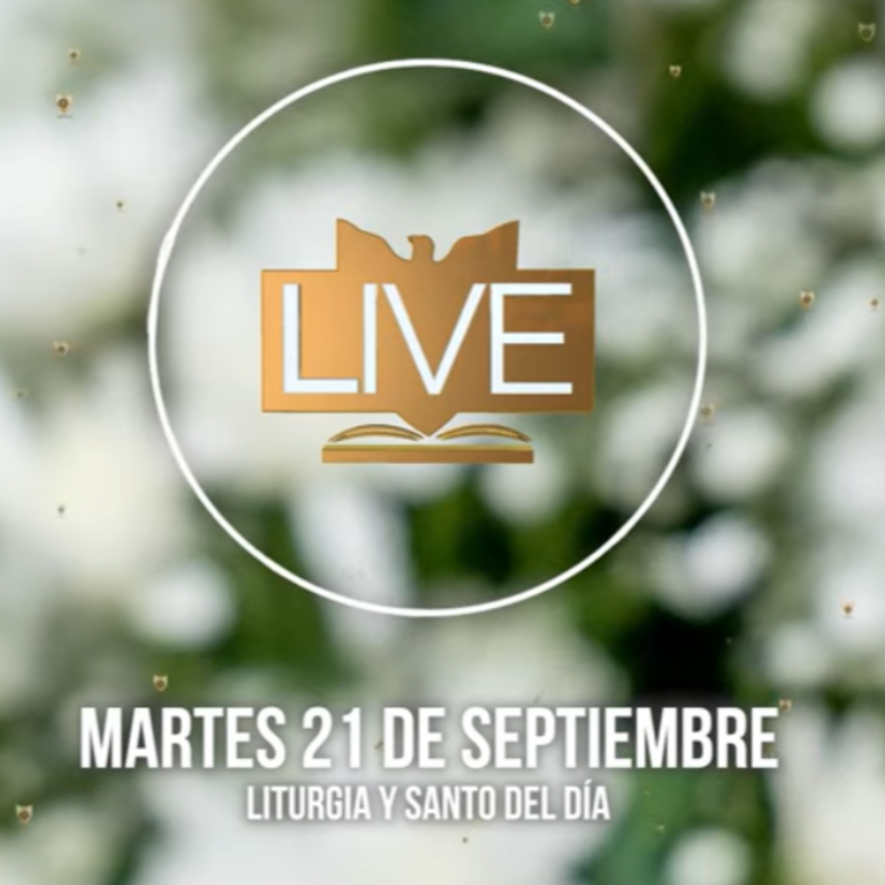 Liturgia y Santo del Día (Martes 21 de Septiembre)  episode artwork