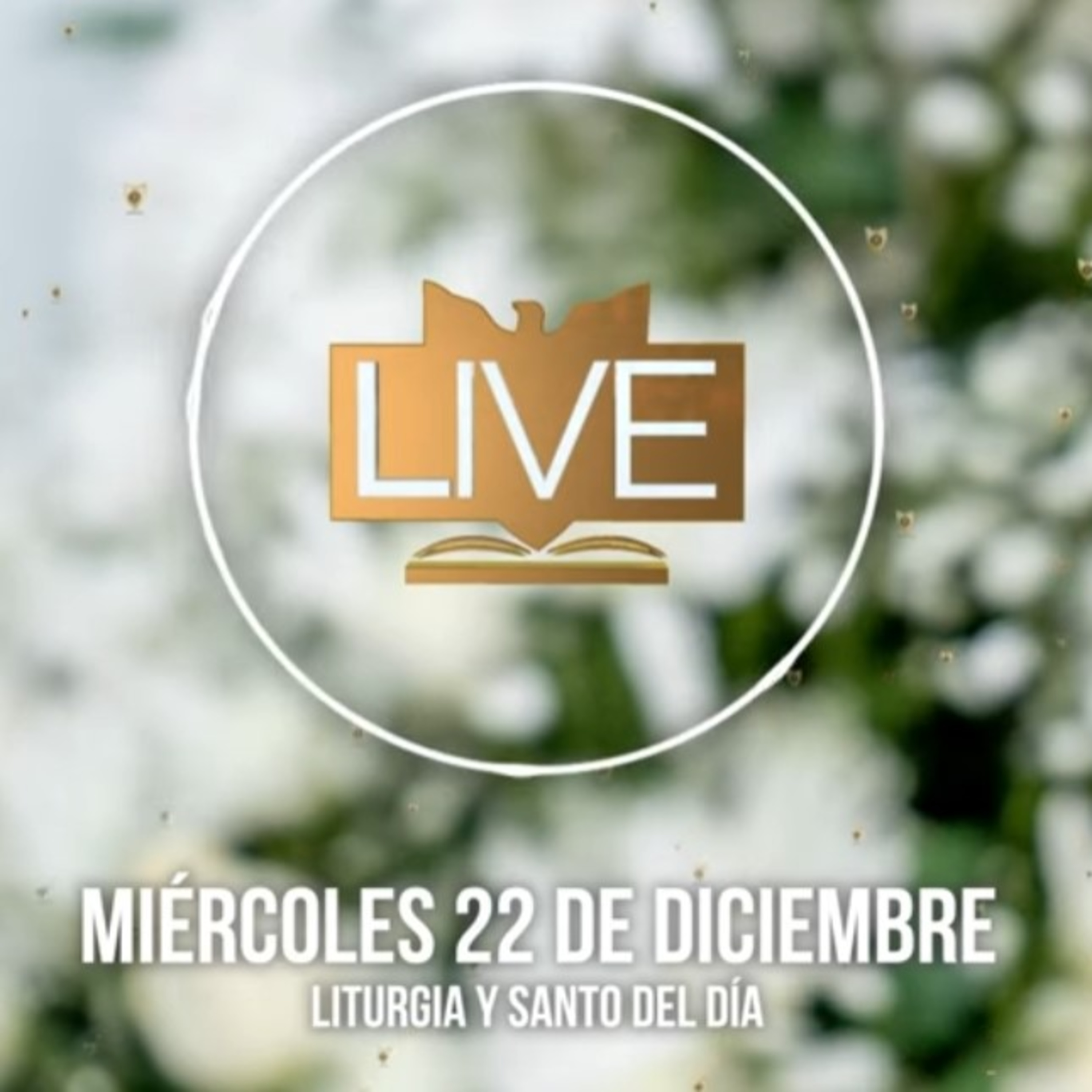 Liturgia y Santo del Día (Miércoles 22 de Diciembre) - Padre Bernardo Moncada episode artwork