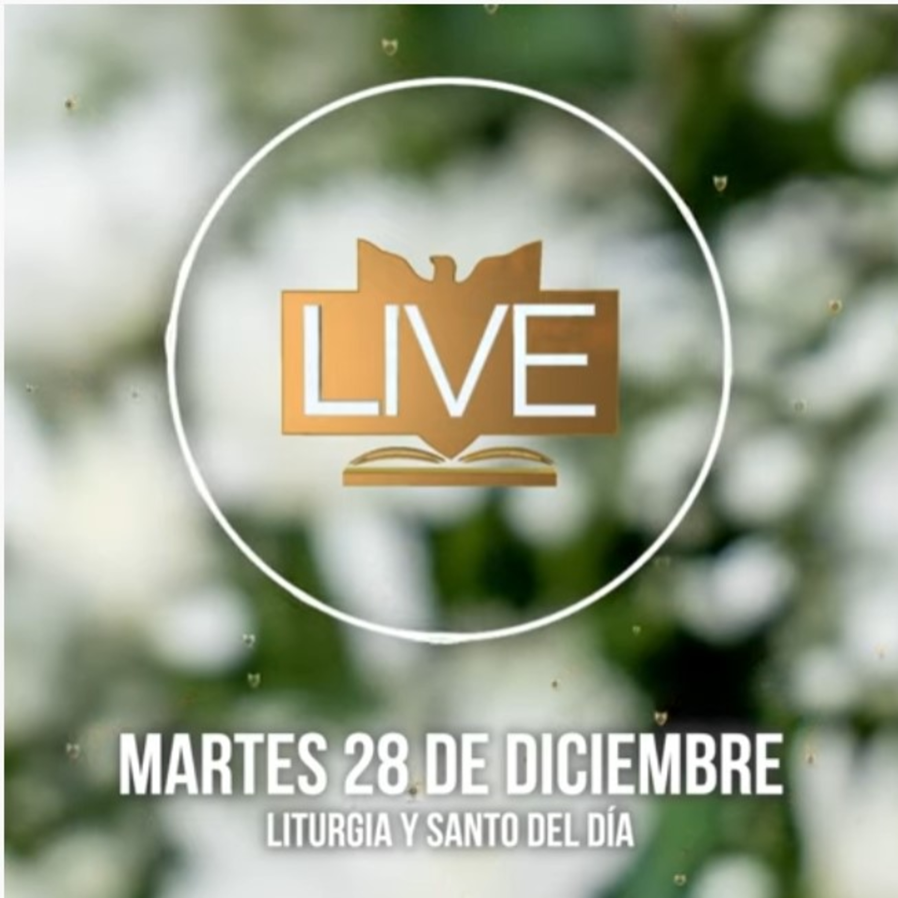 Liturgia y Santo del Día (Martes 28 de Diciembre) - Padre Bernardo Moncada episode artwork