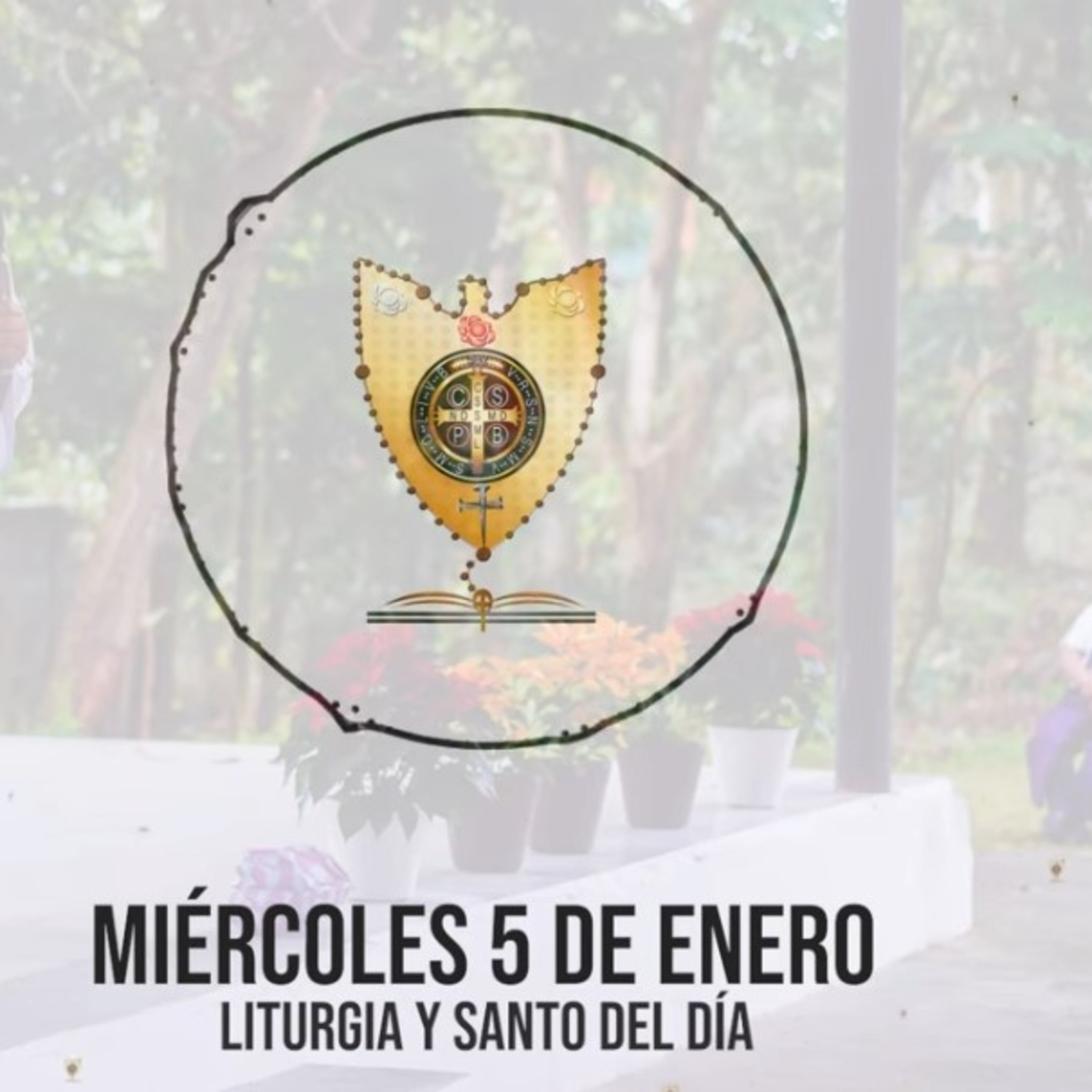 MIÉRCOLES 5 DE ENERO (Liturgia y Santo del Día) - Padre Bernardo Moncada episode artwork