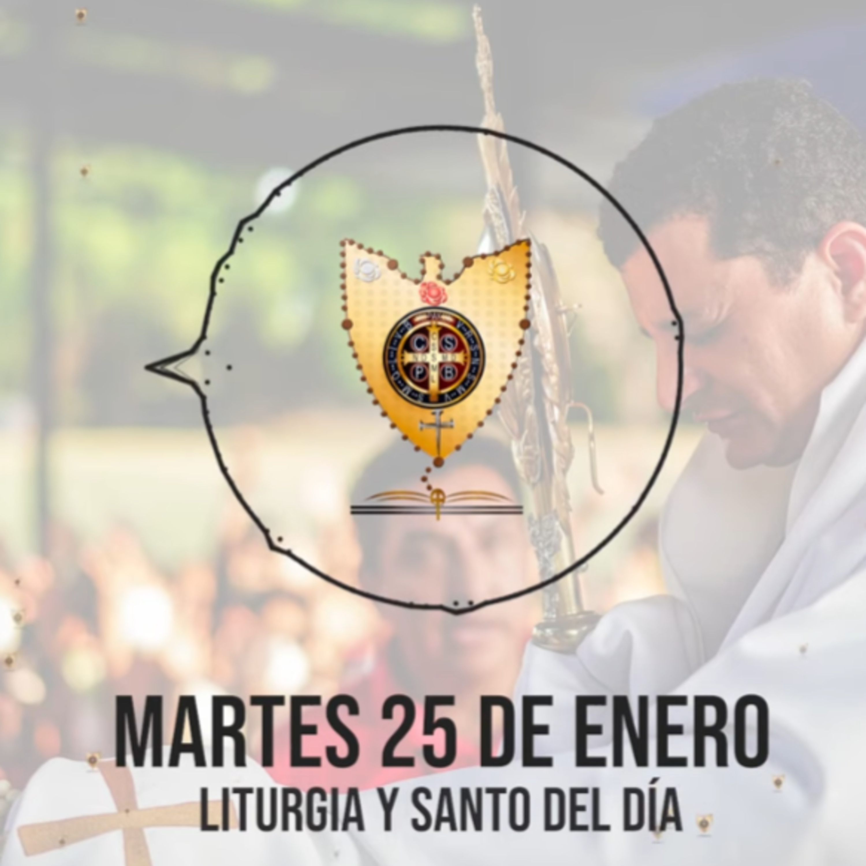 MARTES 25 DE ENERO (Liturgia y Santo del Día) - Padre Bernardo Moncada episode artwork