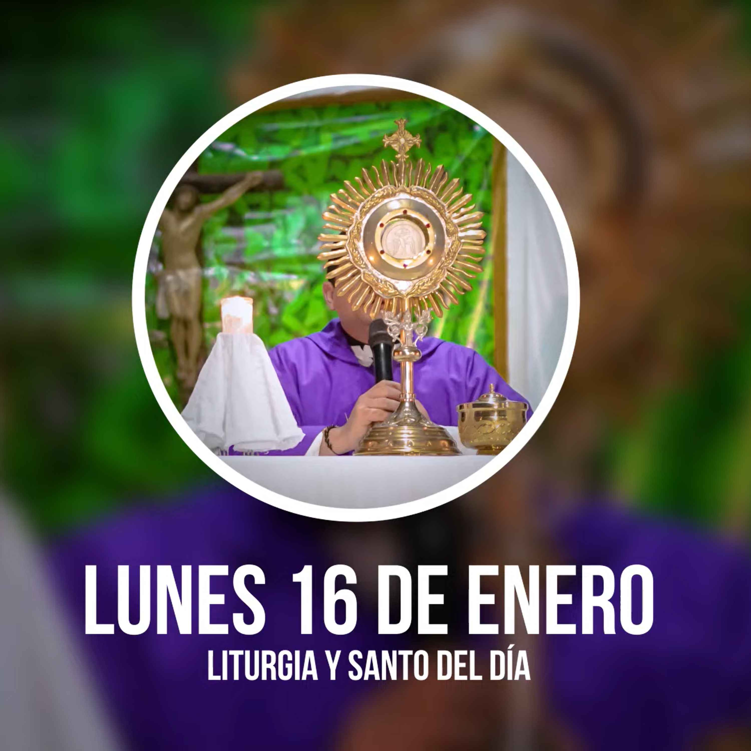 LUNES 16 DE ENERO (Liturgia y Santo del Día) - Padre Bernardo Moncada episode artwork