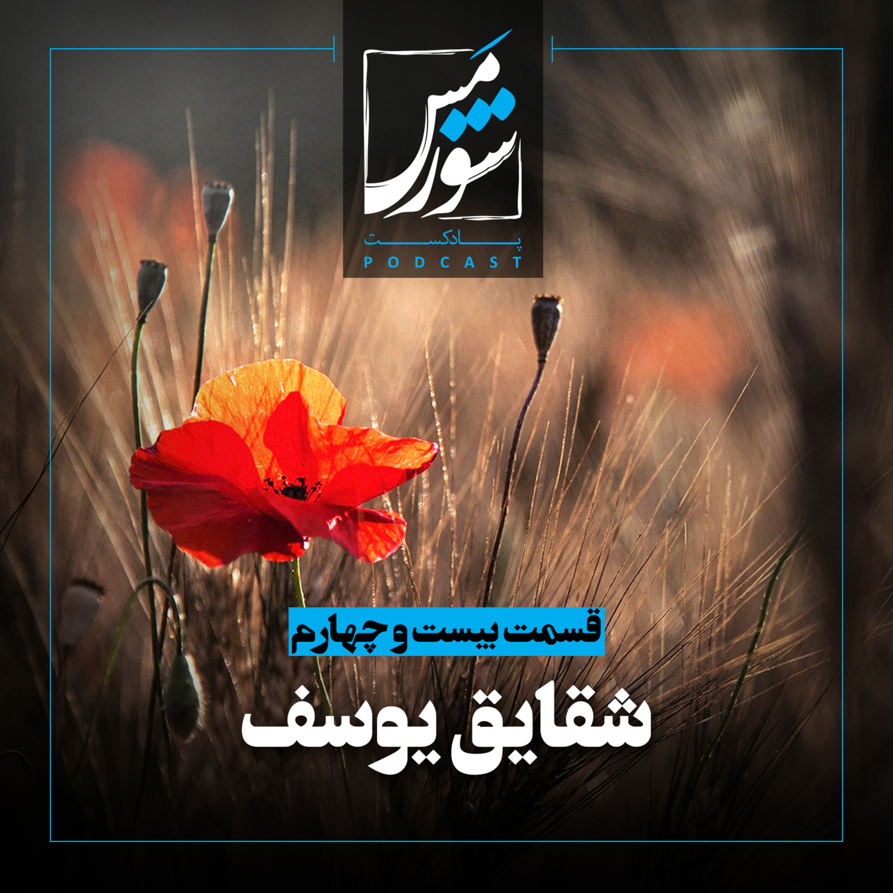 شقایق یوسف episode artwork