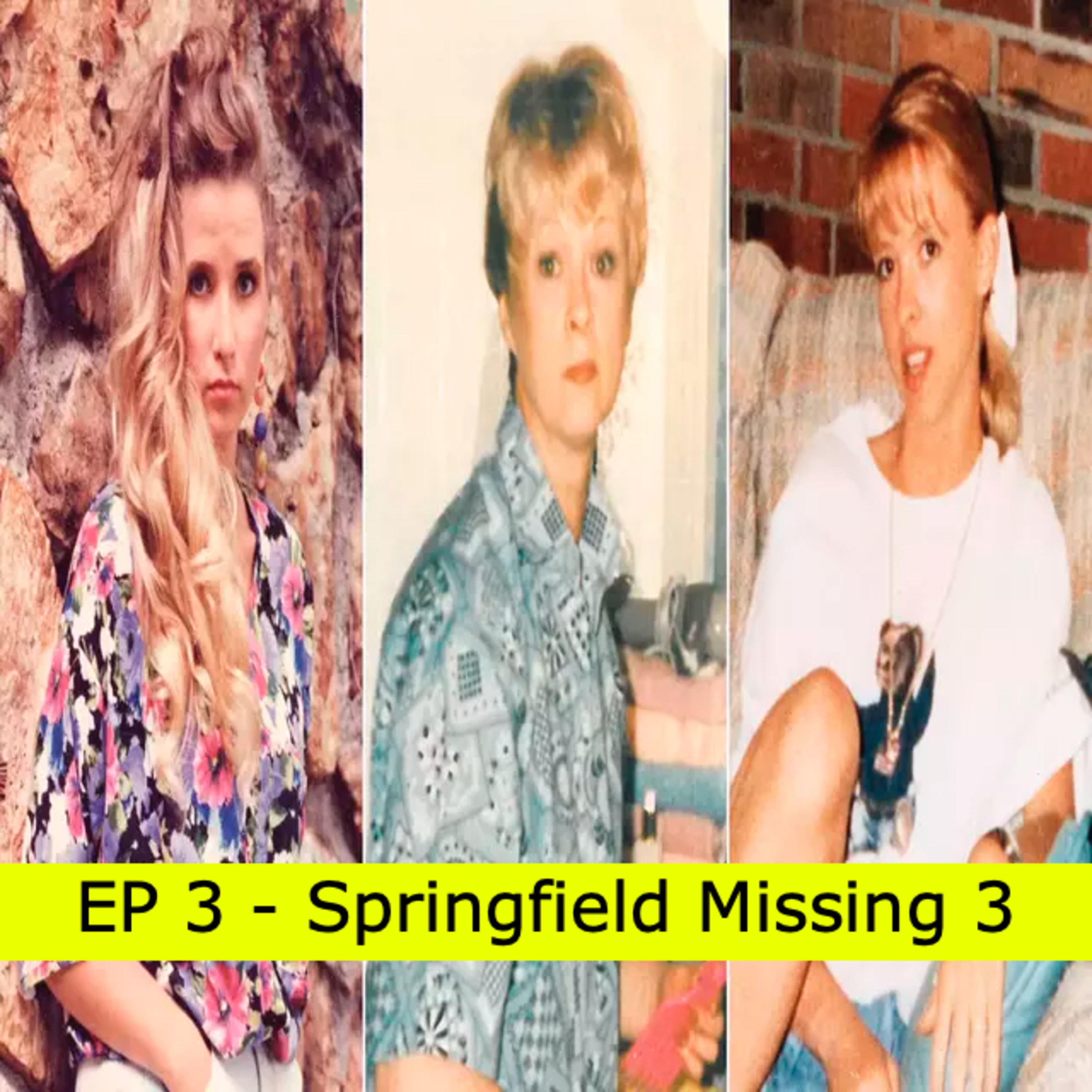 EP3: Springfield Missing 3 episode artwork