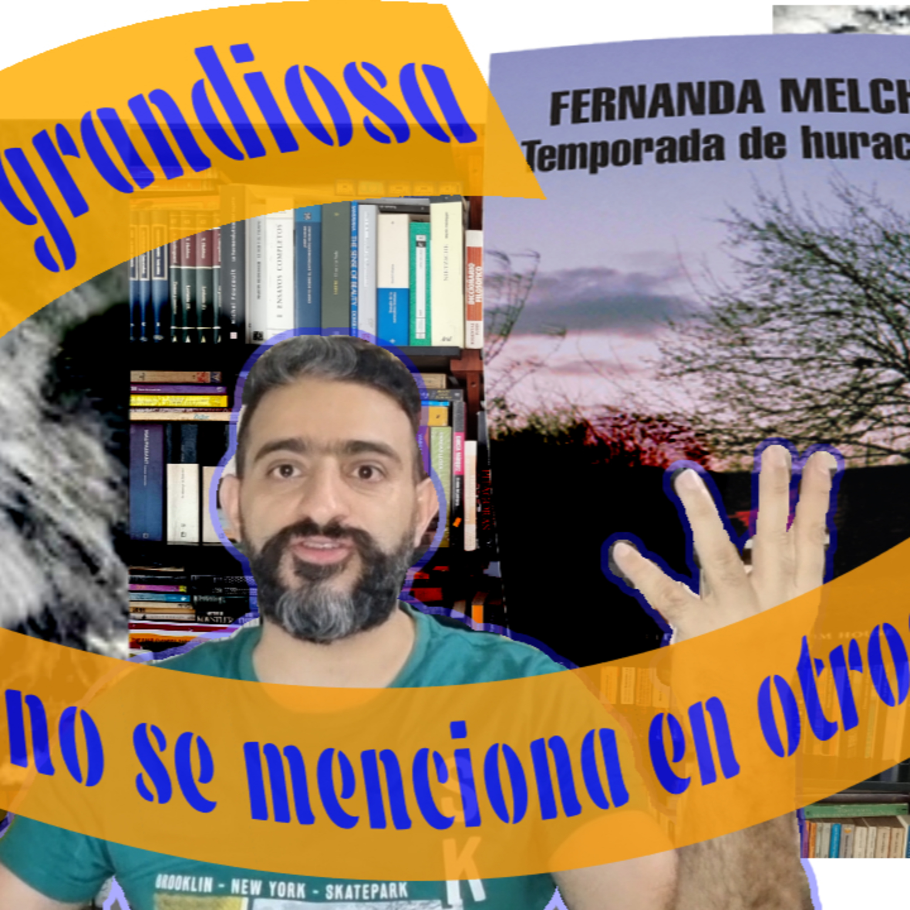 El Bibliófilo