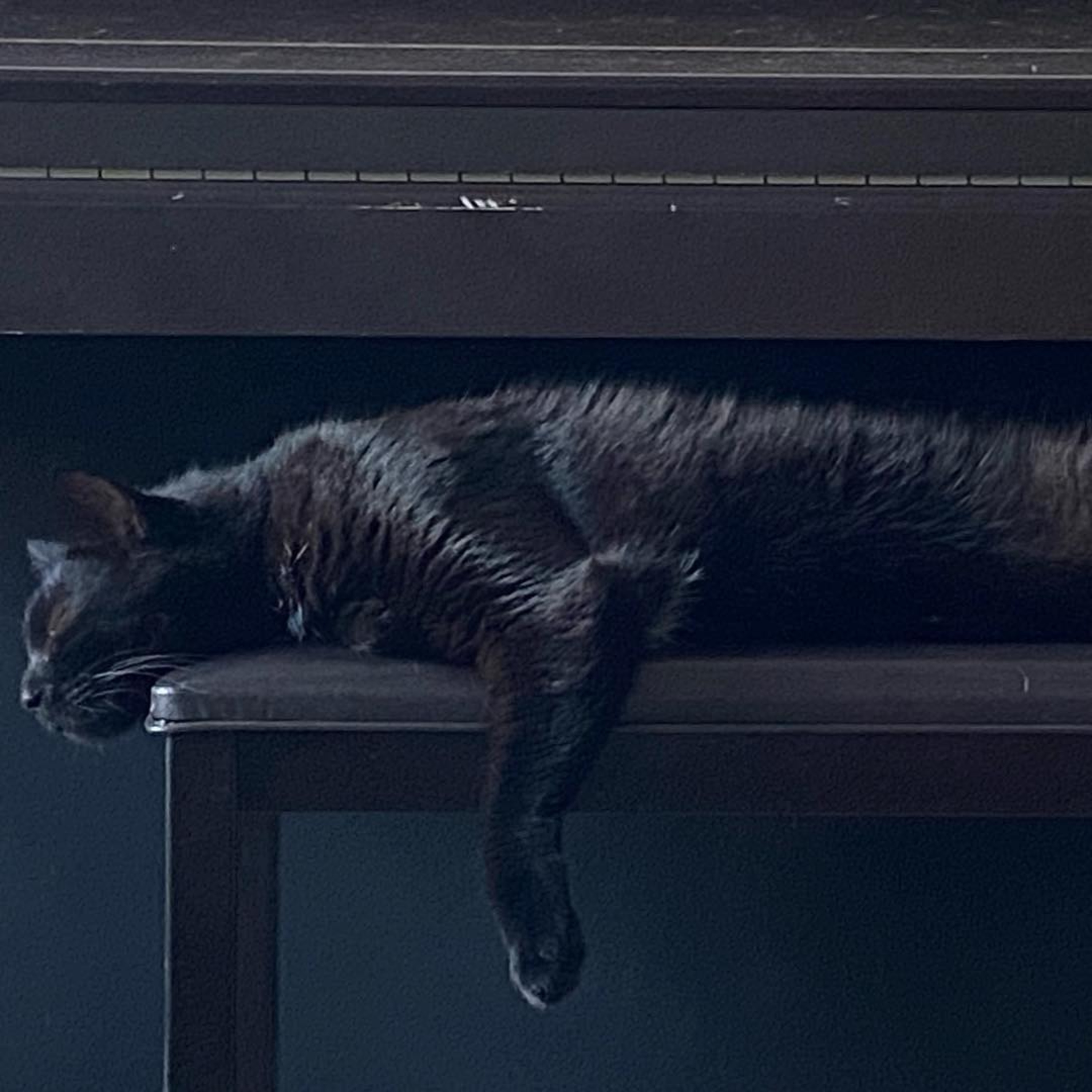 I just wanna relate.