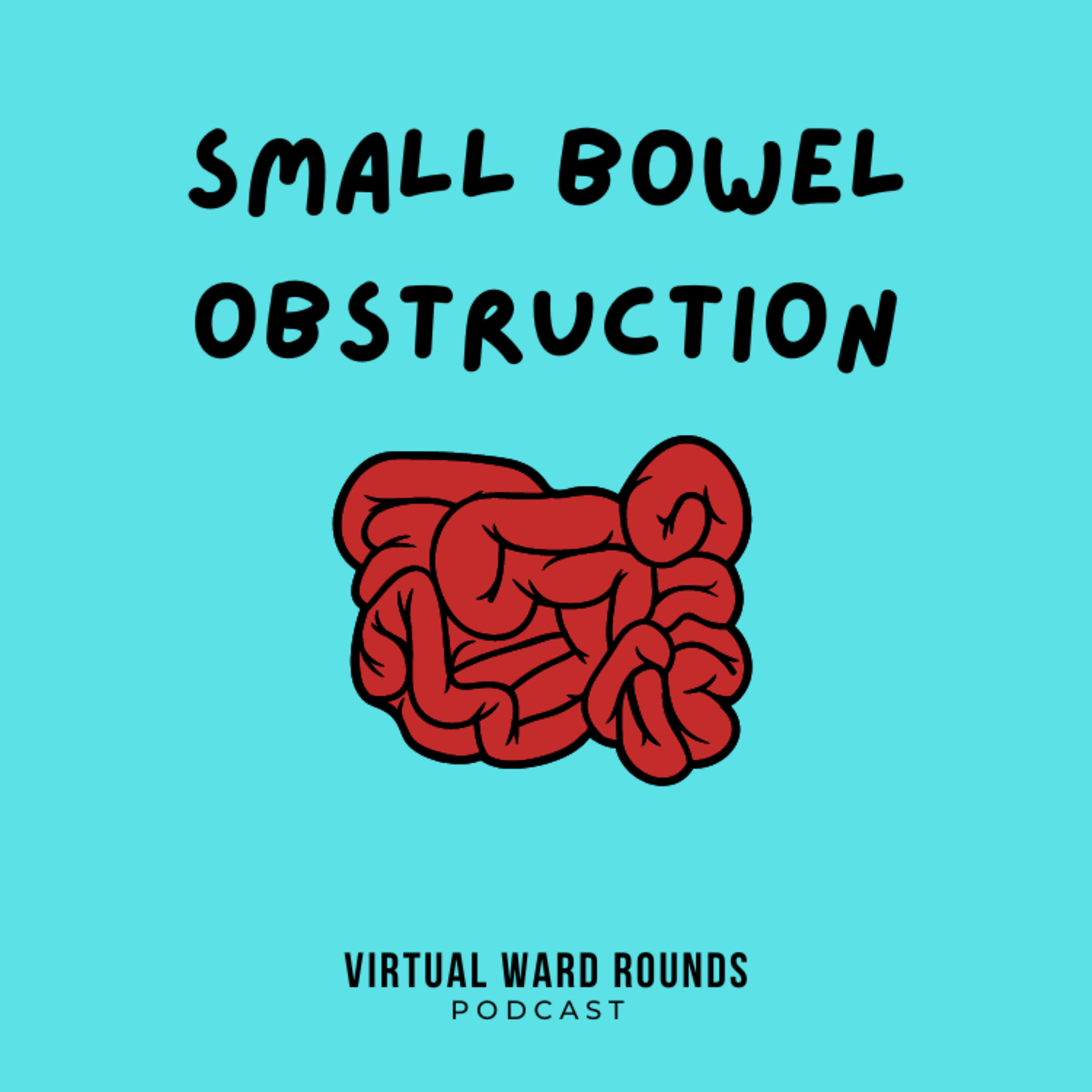 Small Bowel Obstruction part 1 episode artwork