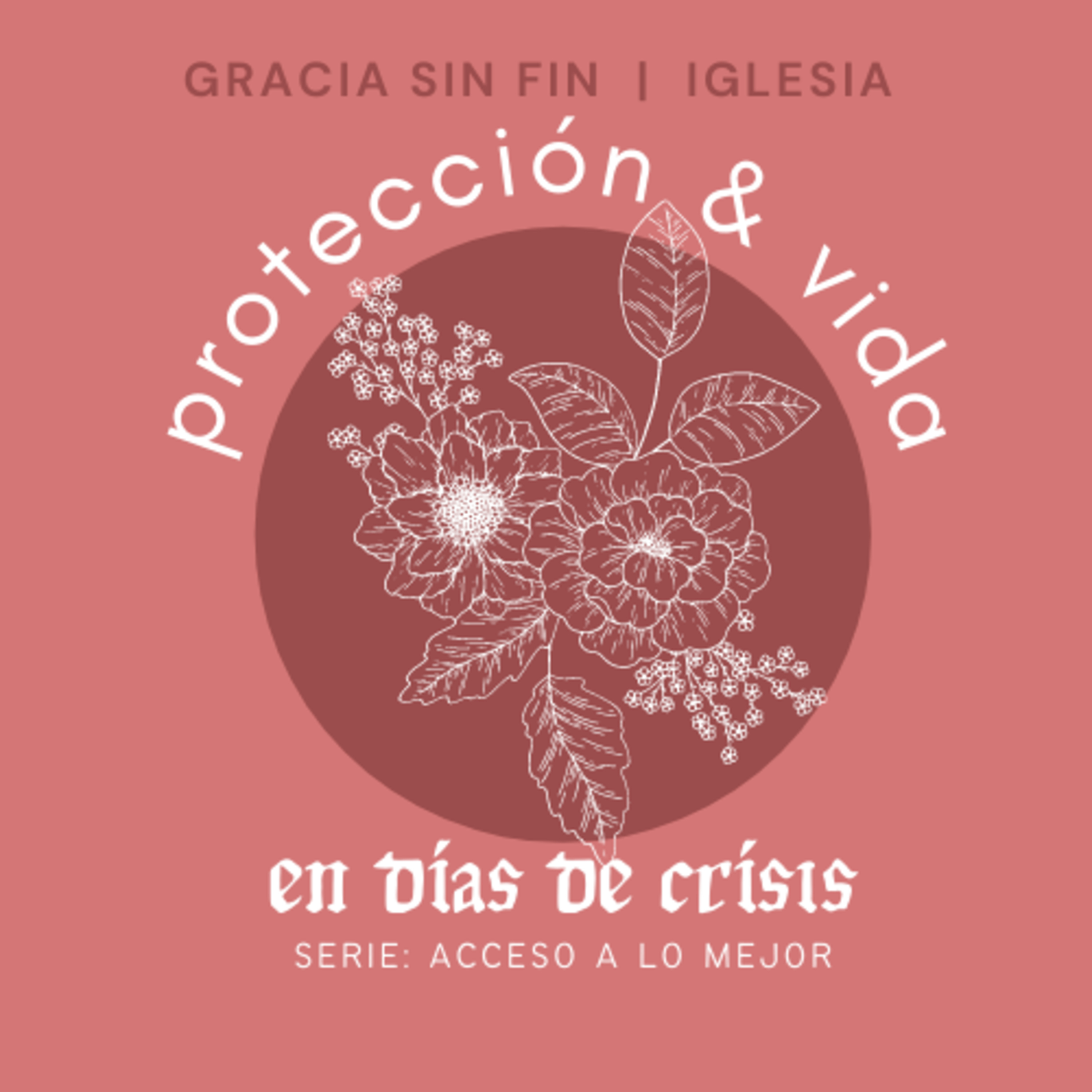 Iglesia Cristiana Gracia sin Fin