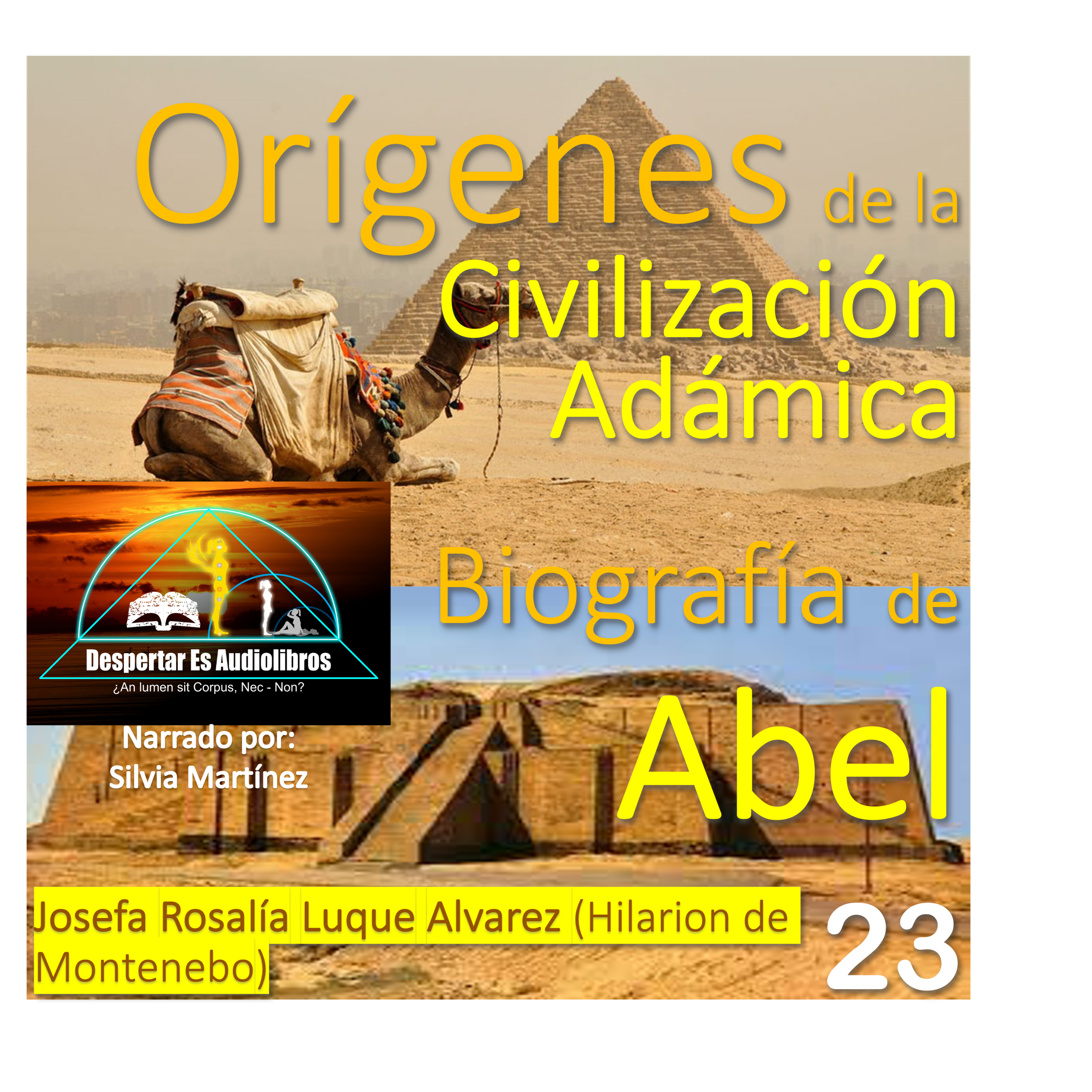 Despertar Es Audiolibros