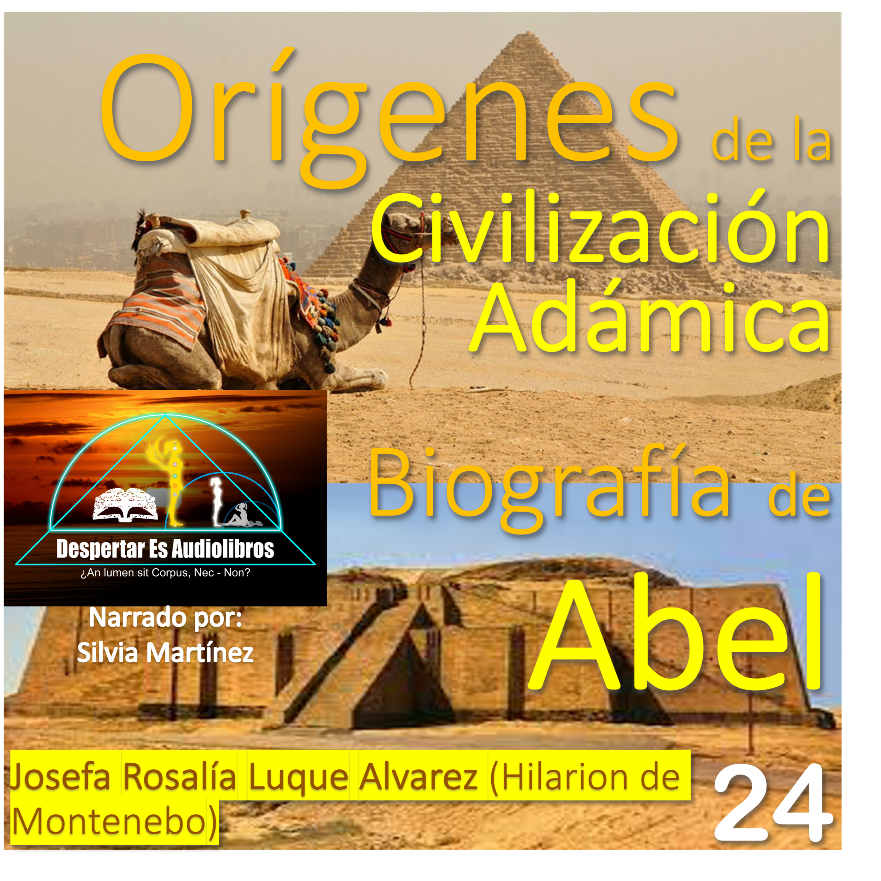 Despertar Es Audiolibros
