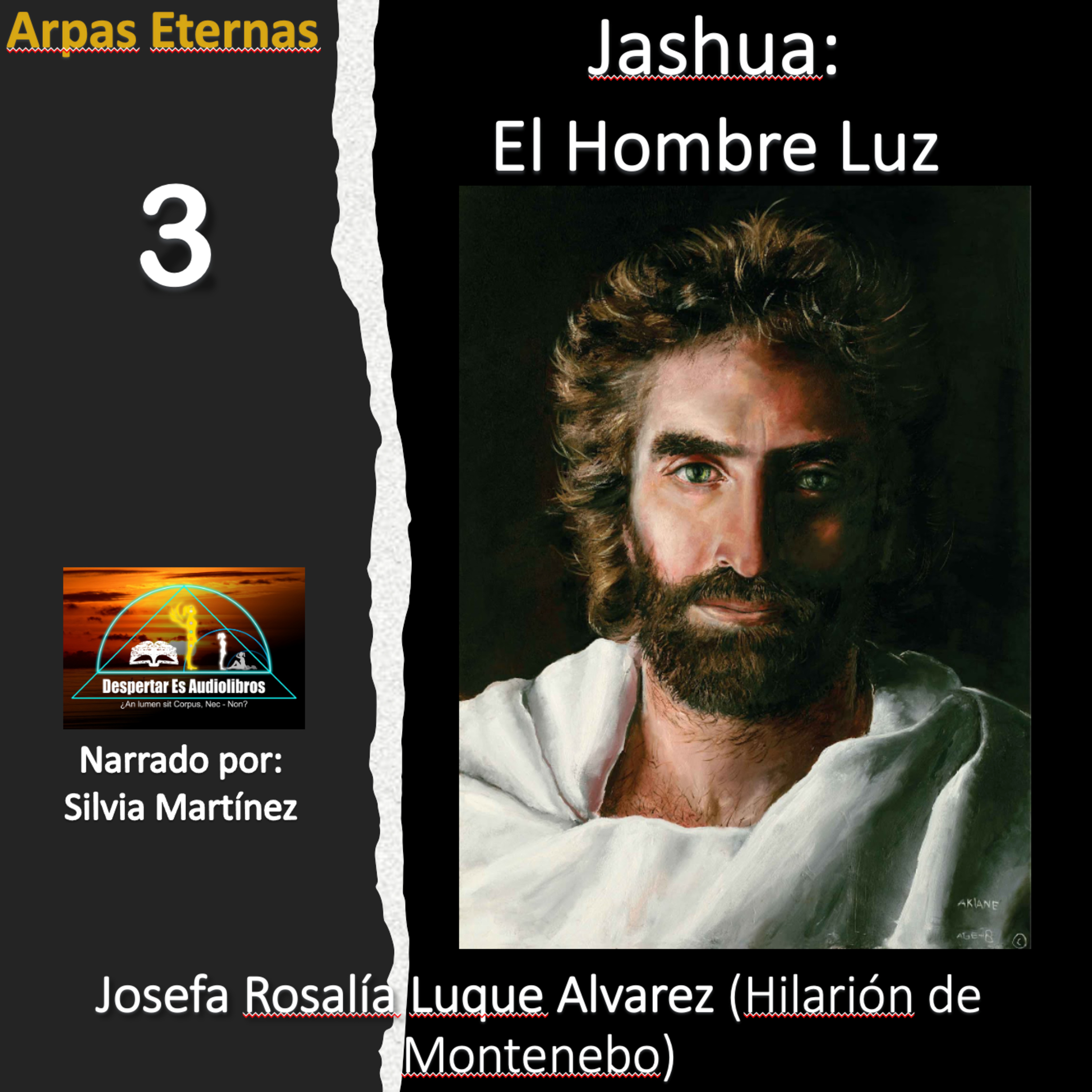Despertar Es Audiolibros