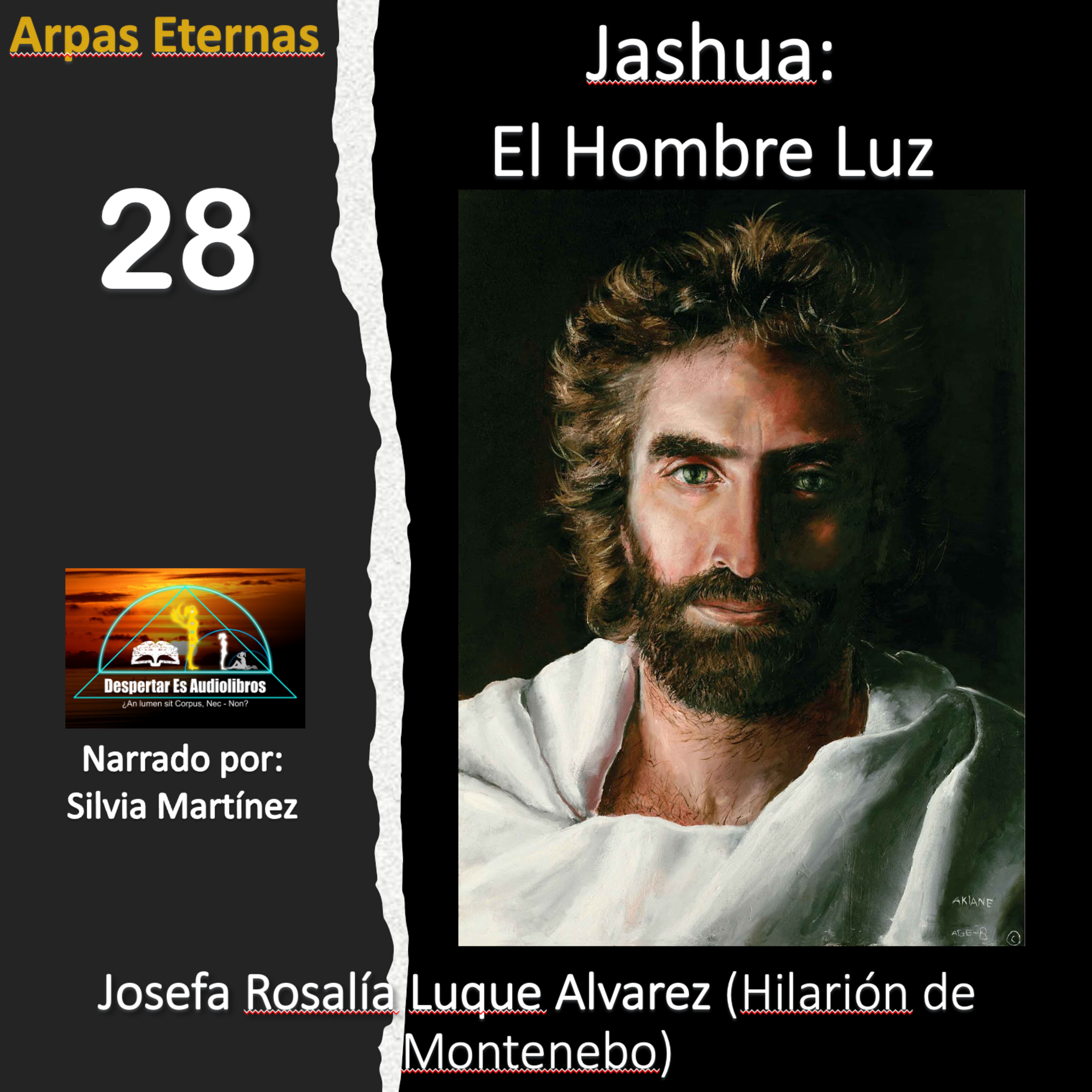 Despertar Es Audiolibros