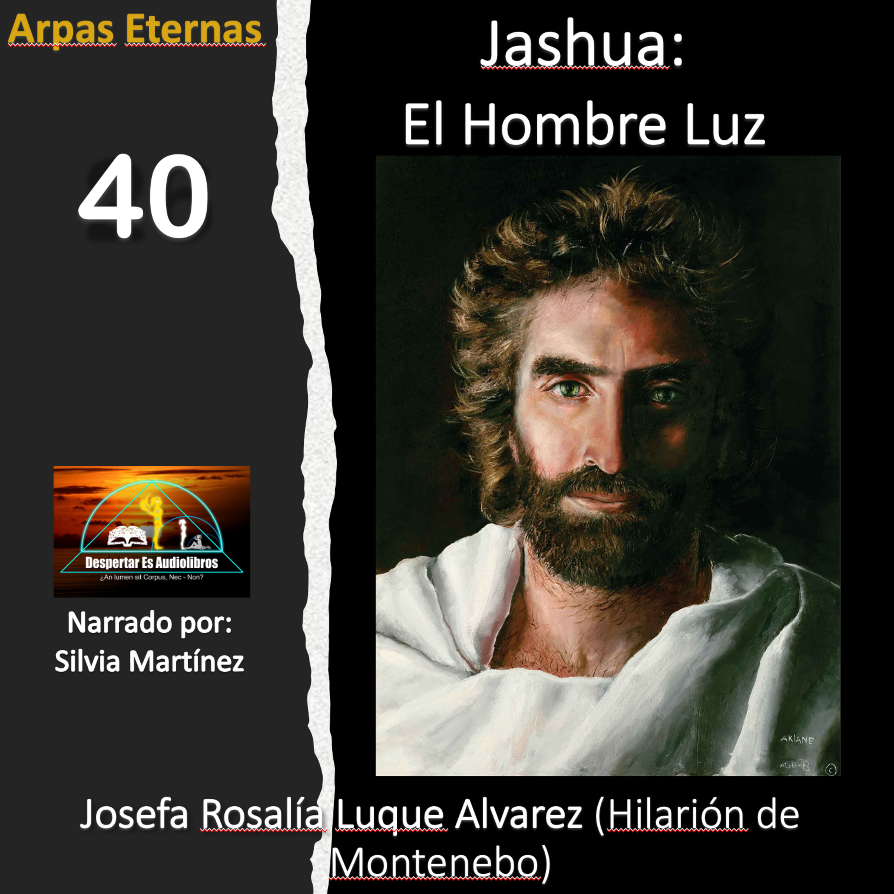 Despertar Es Audiolibros