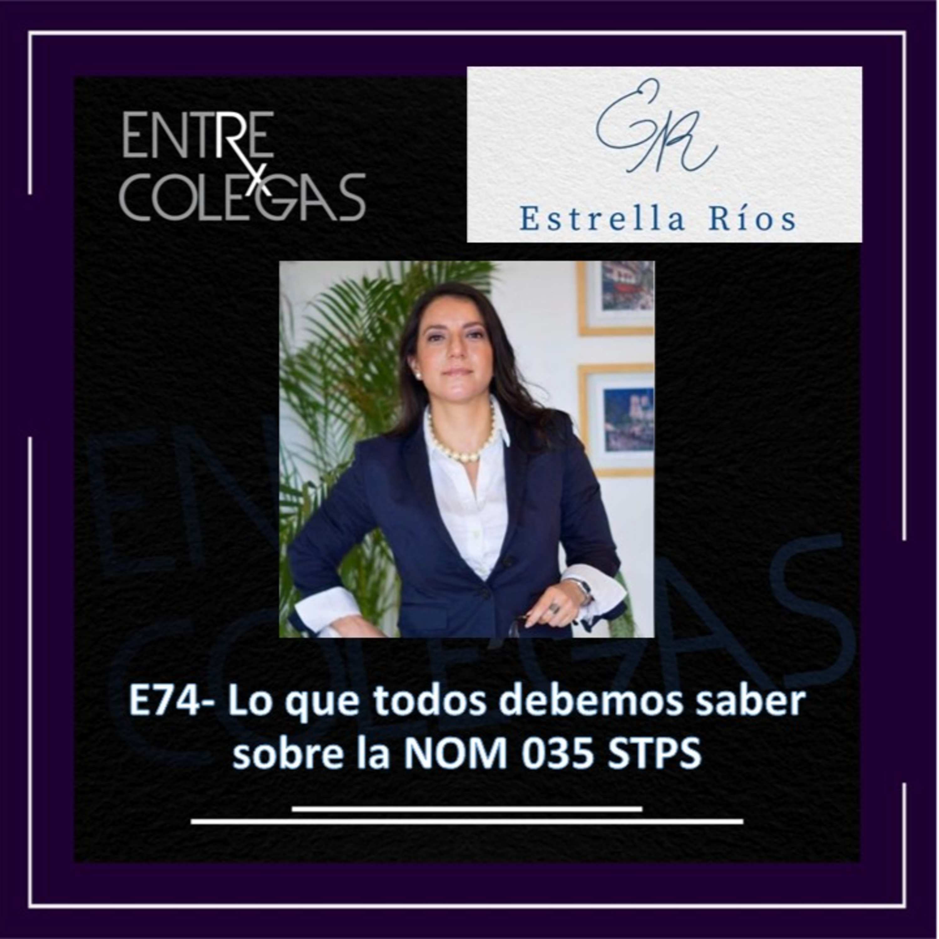 E74- Lo que todos debemos saber sobre los Factores de Riesgo Psicosocial en el Trabajo NOM 035 STPS episode artwork