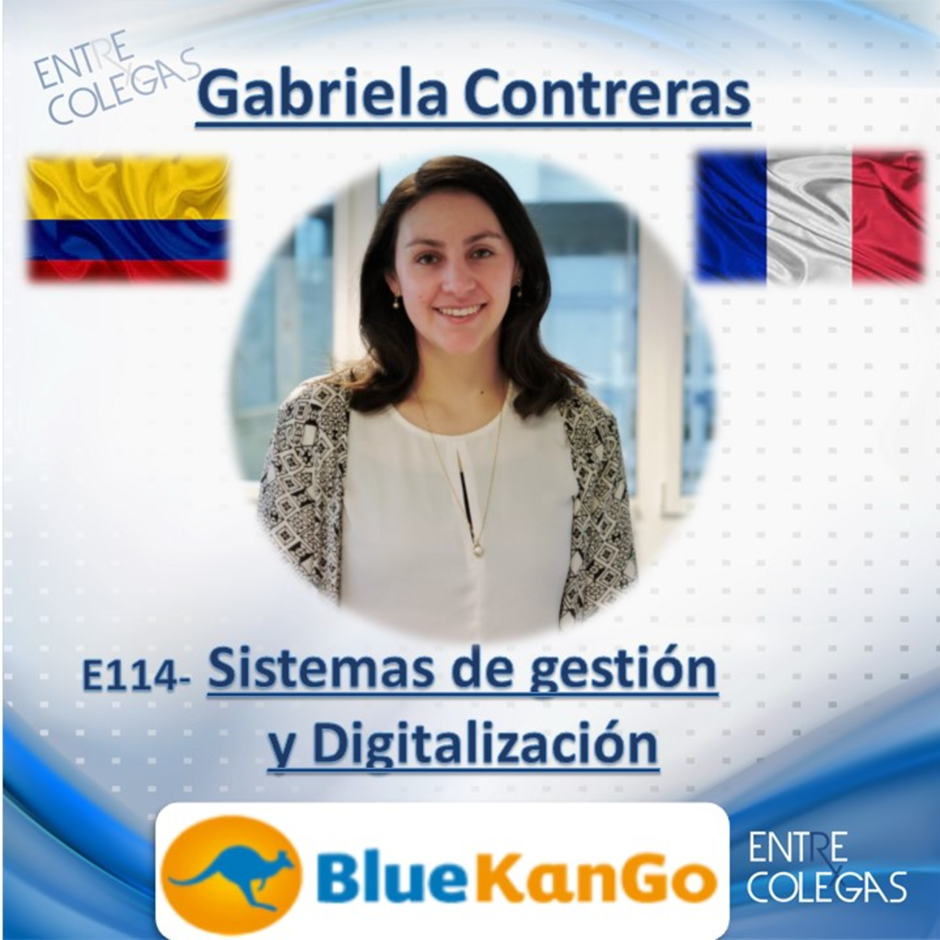 E114- Sistemas de gestión y Digitalización. episode artwork