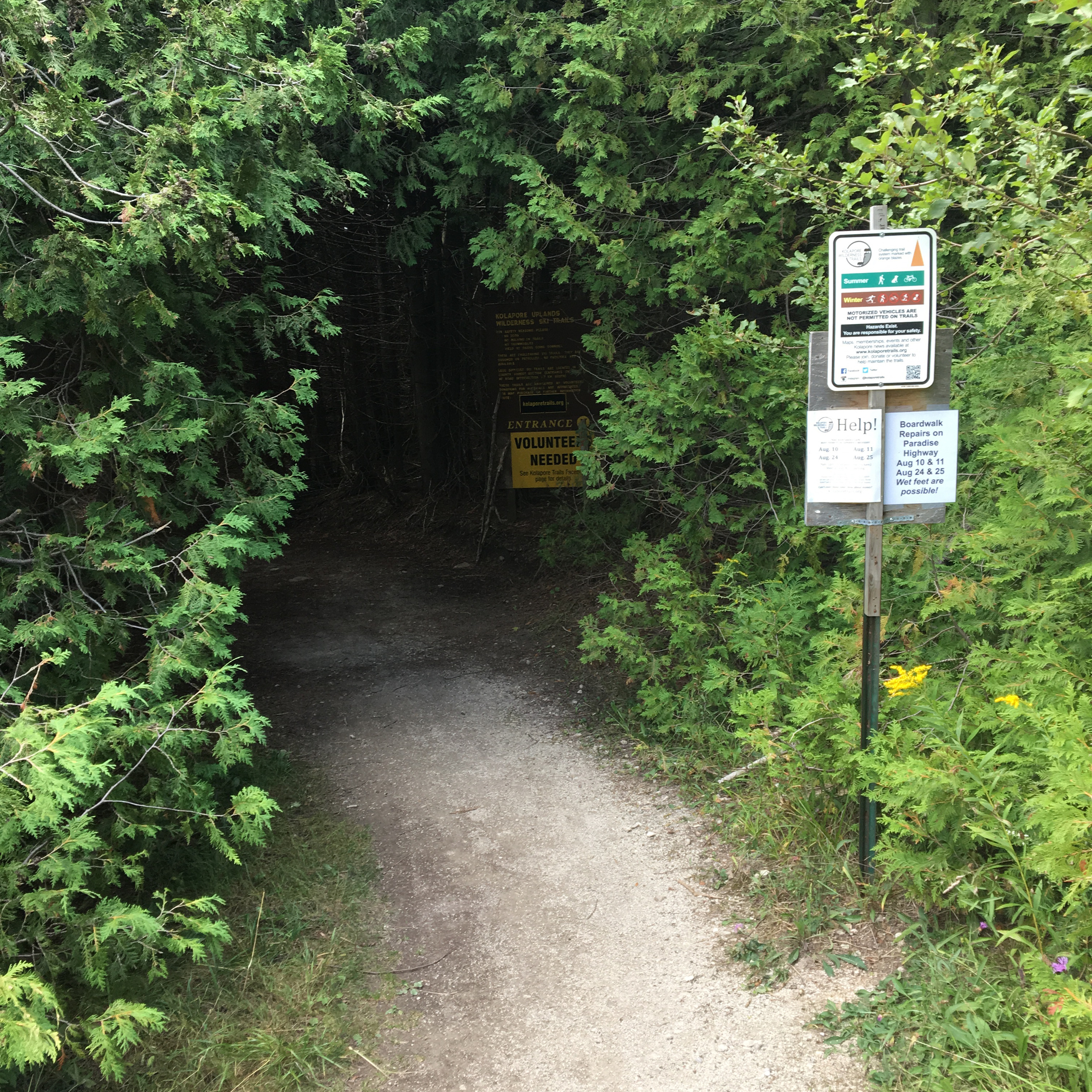 Trail Tales ARP