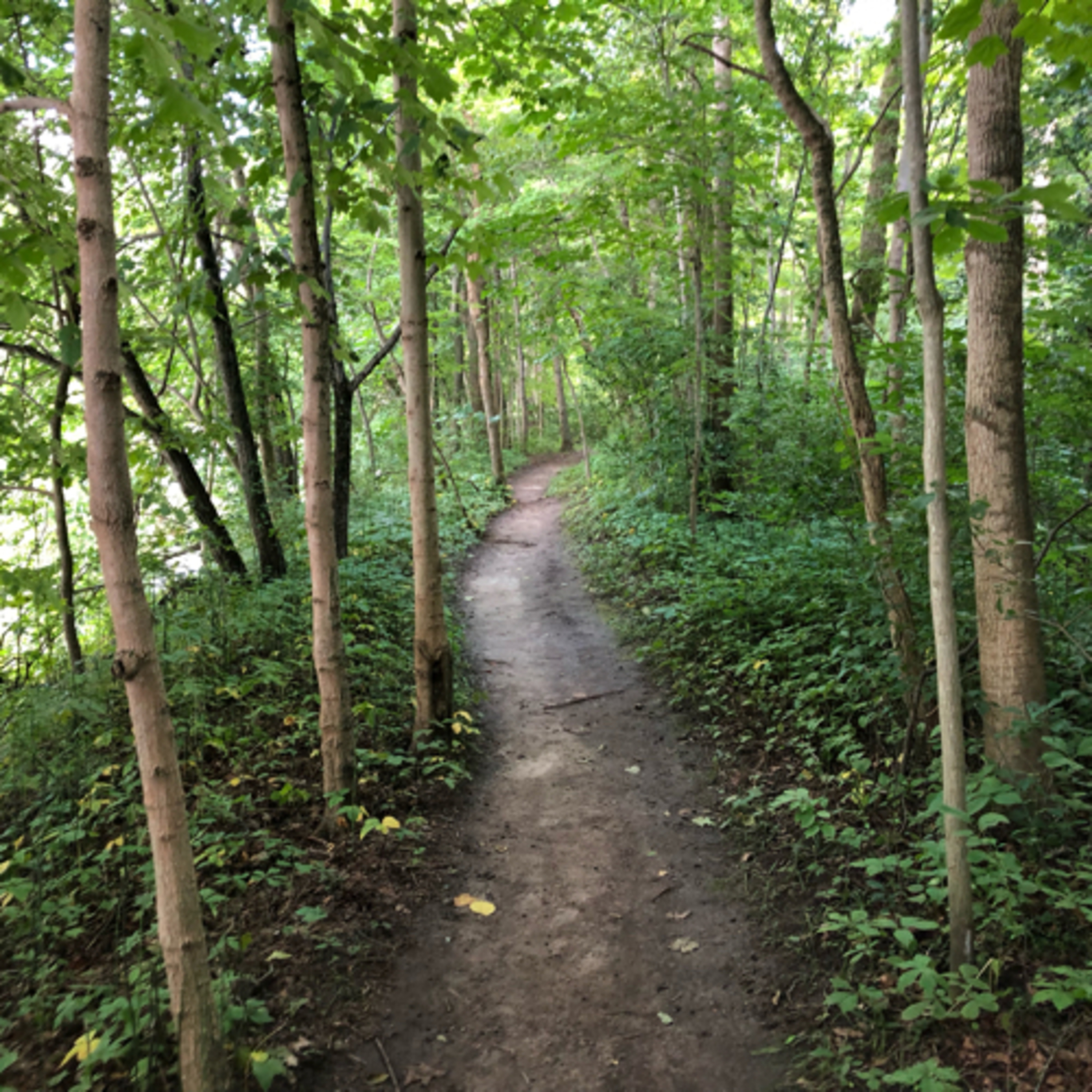 Trail Tales ARP