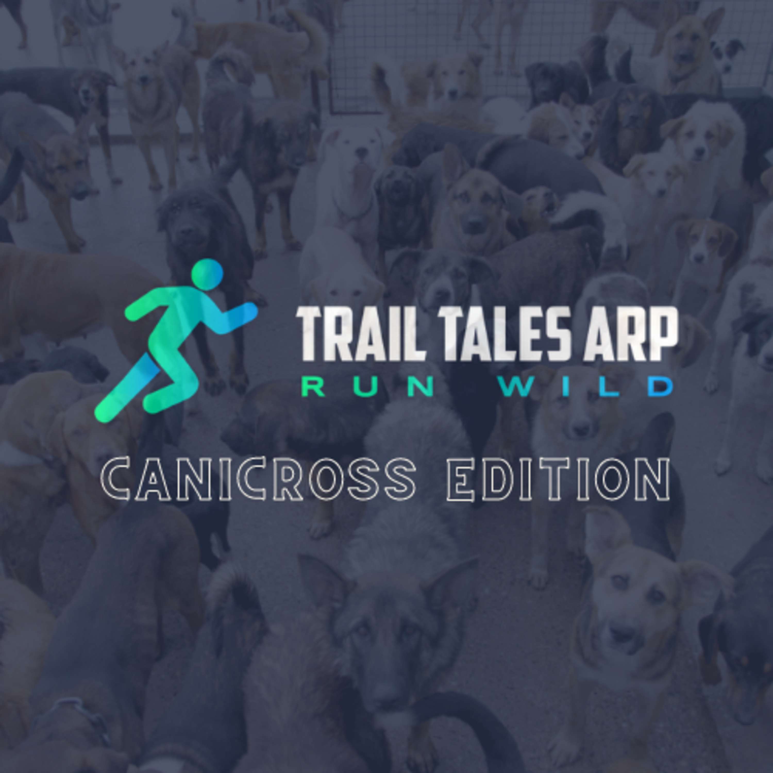Trail Tales ARP