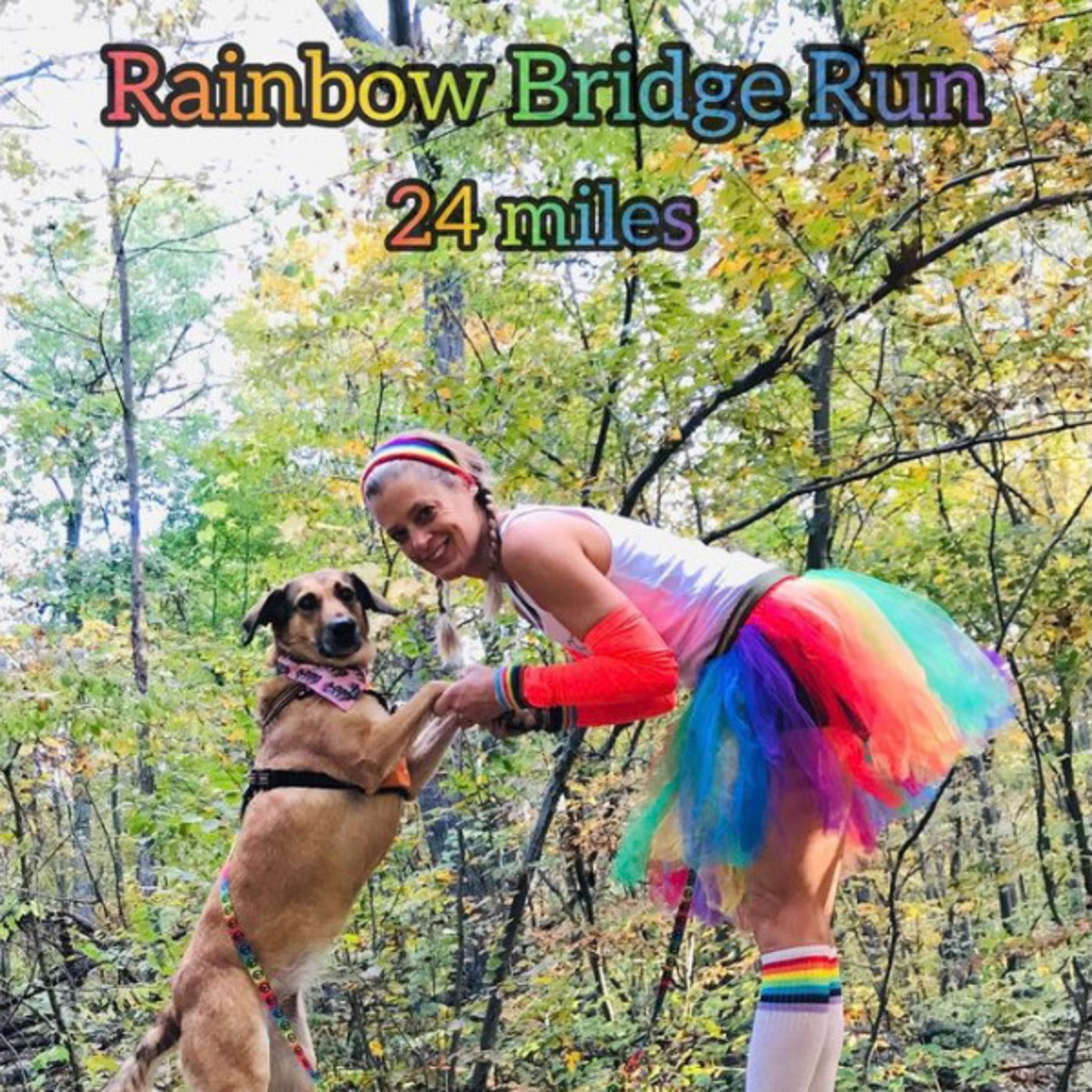 The Rainbow Bridge Run - Honouring Our Lost Loved Pets and Saving Street Dogs episode artwork