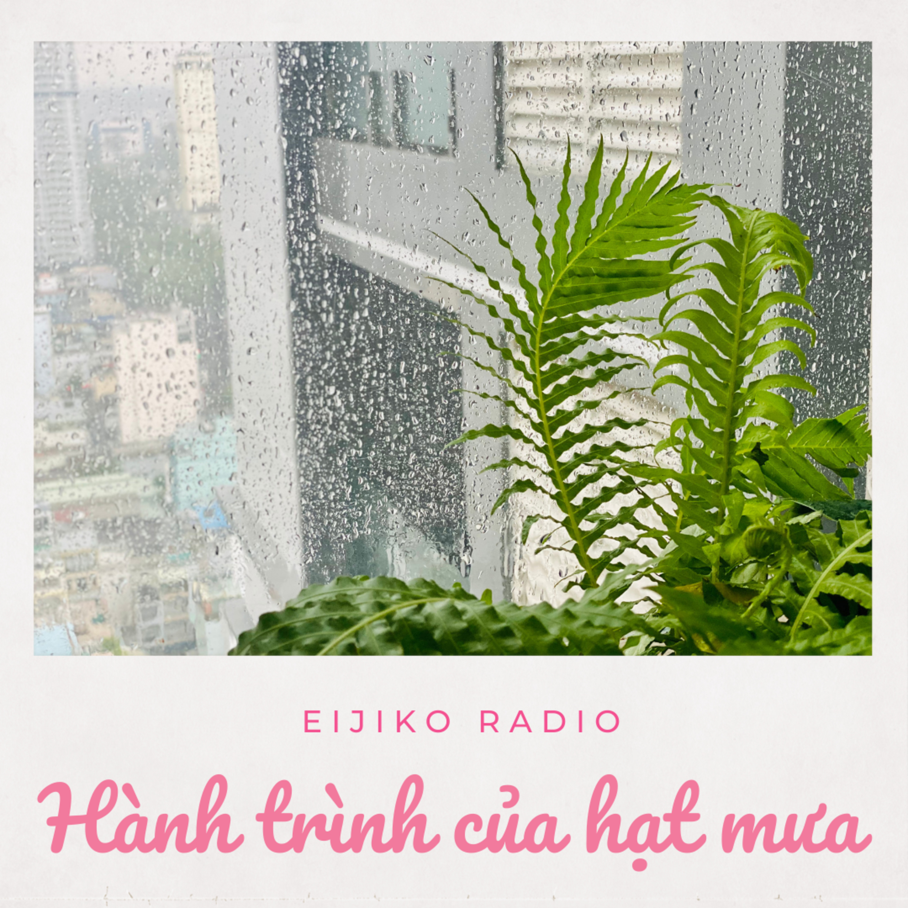 EIJIKO RADIO