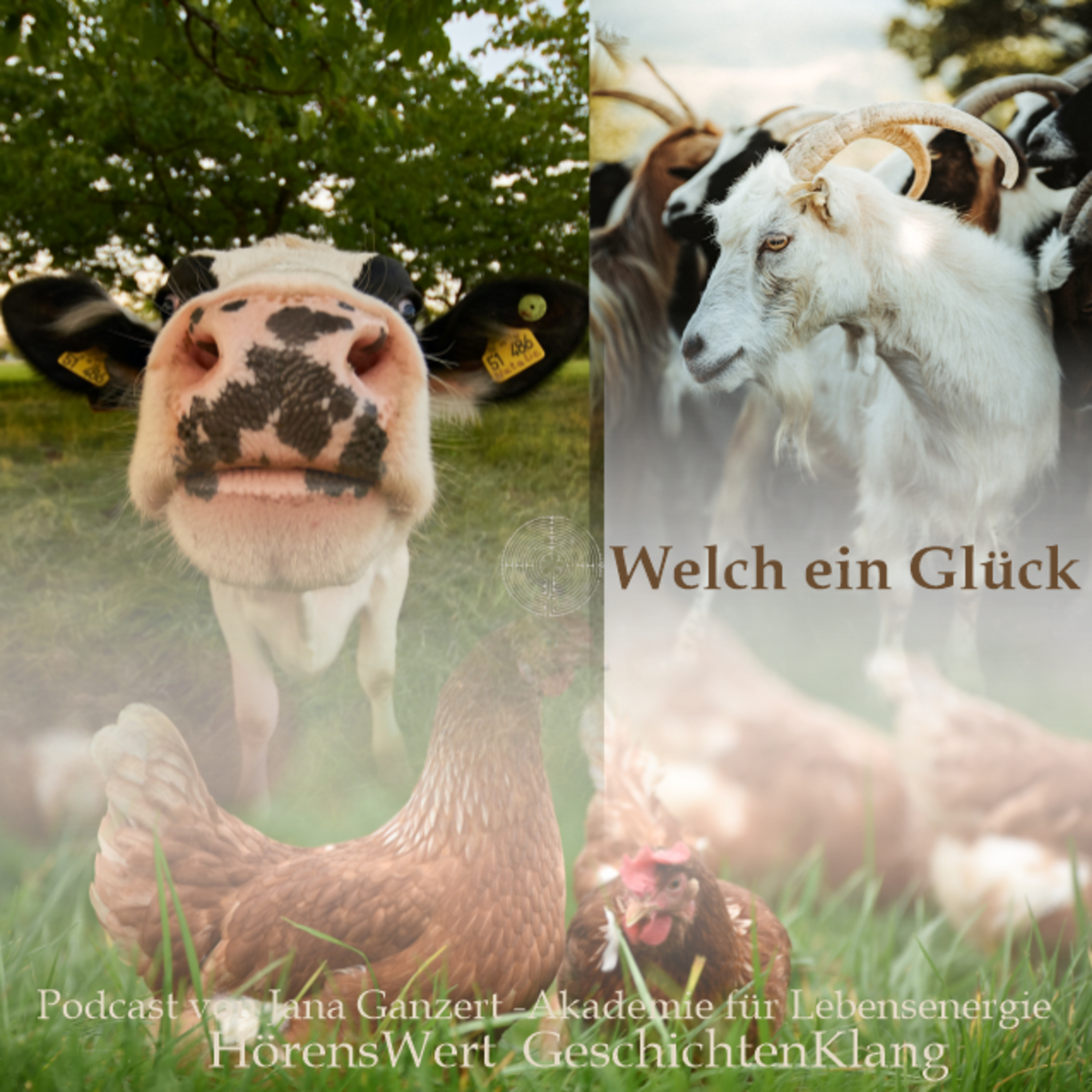 HörensWert - GeschichtenKlang - Podcast von Jana Ganzert und der Akademie für Lebensenergie