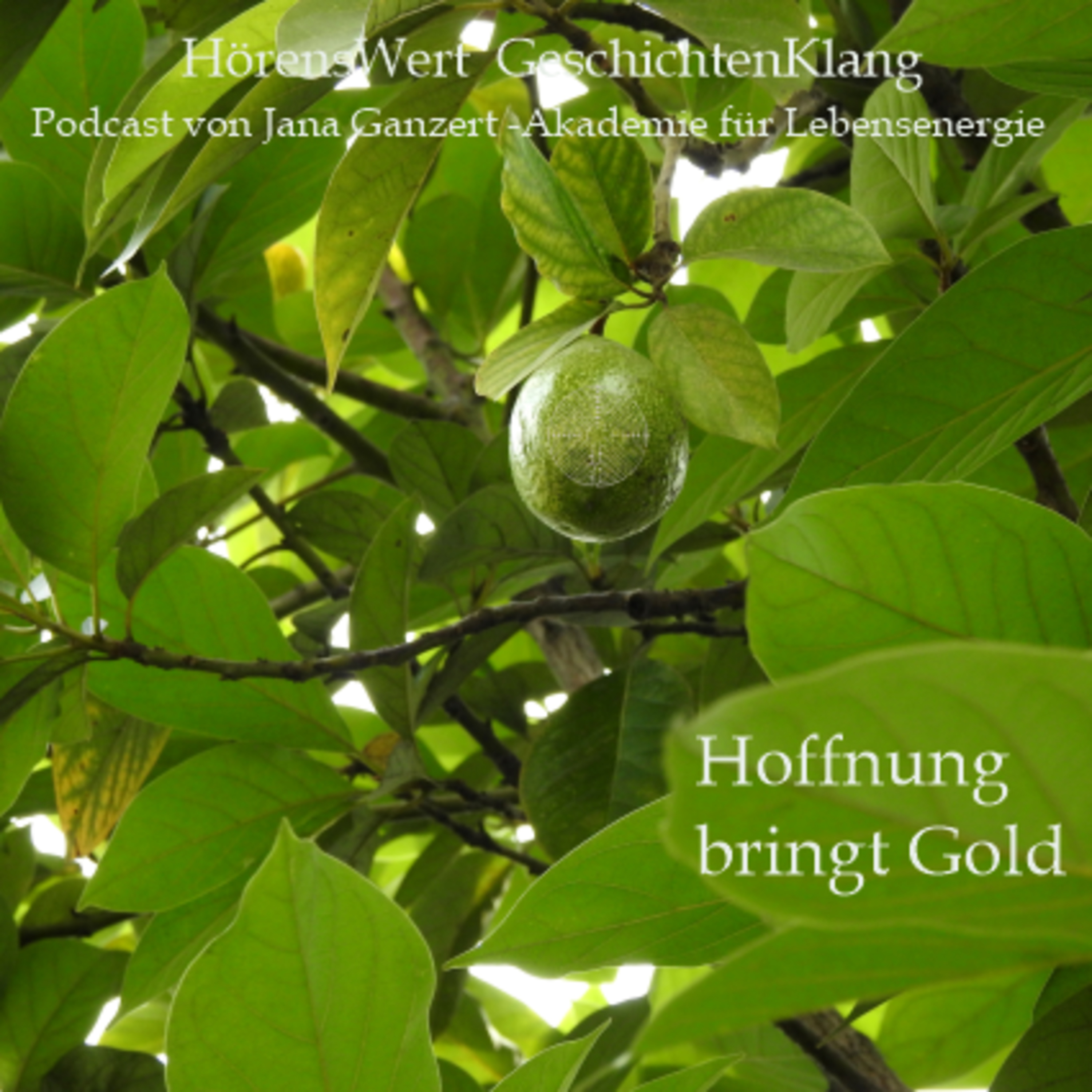HörensWert - GeschichtenKlang - Podcast von Jana Ganzert und der Akademie für Lebensenergie