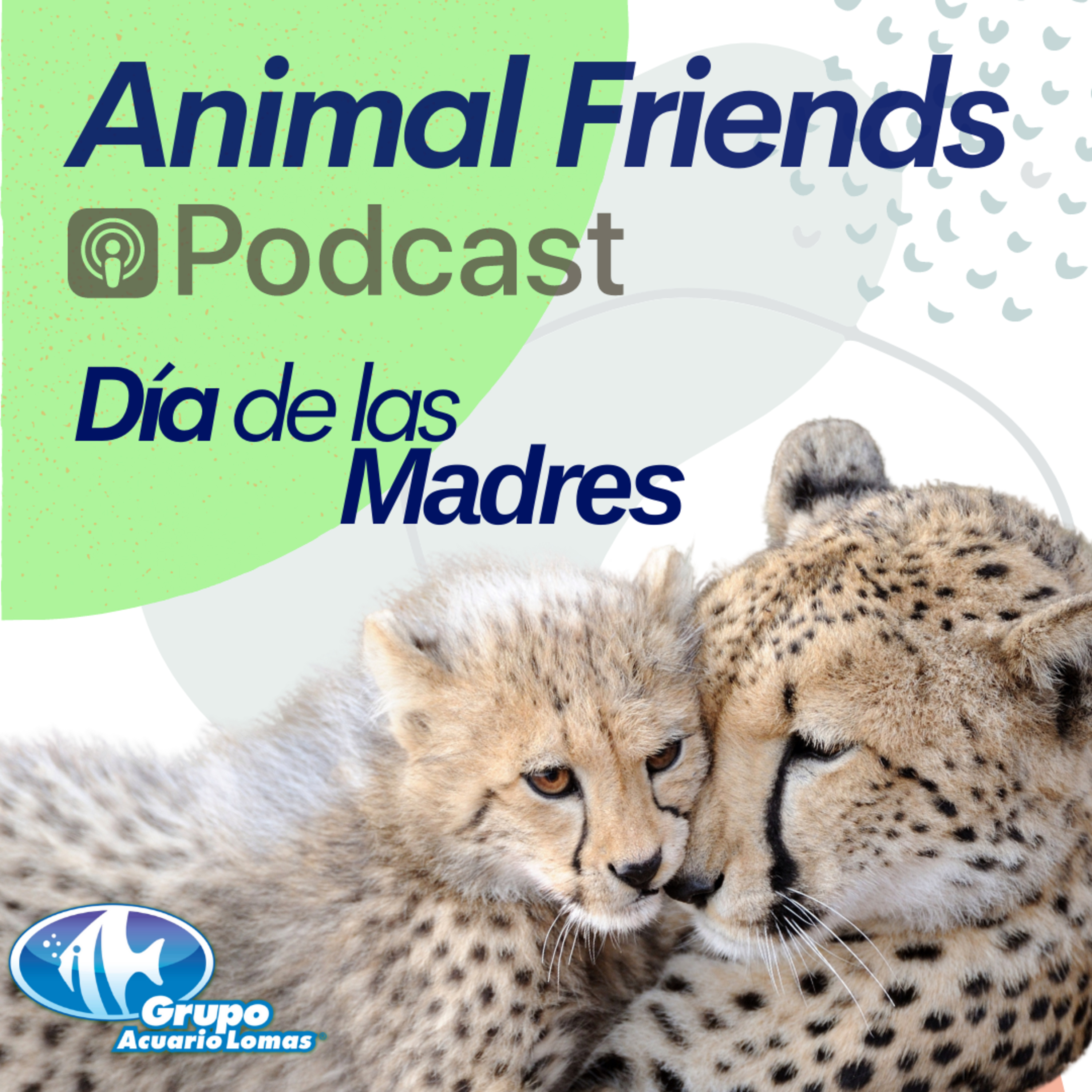 Animal Friends