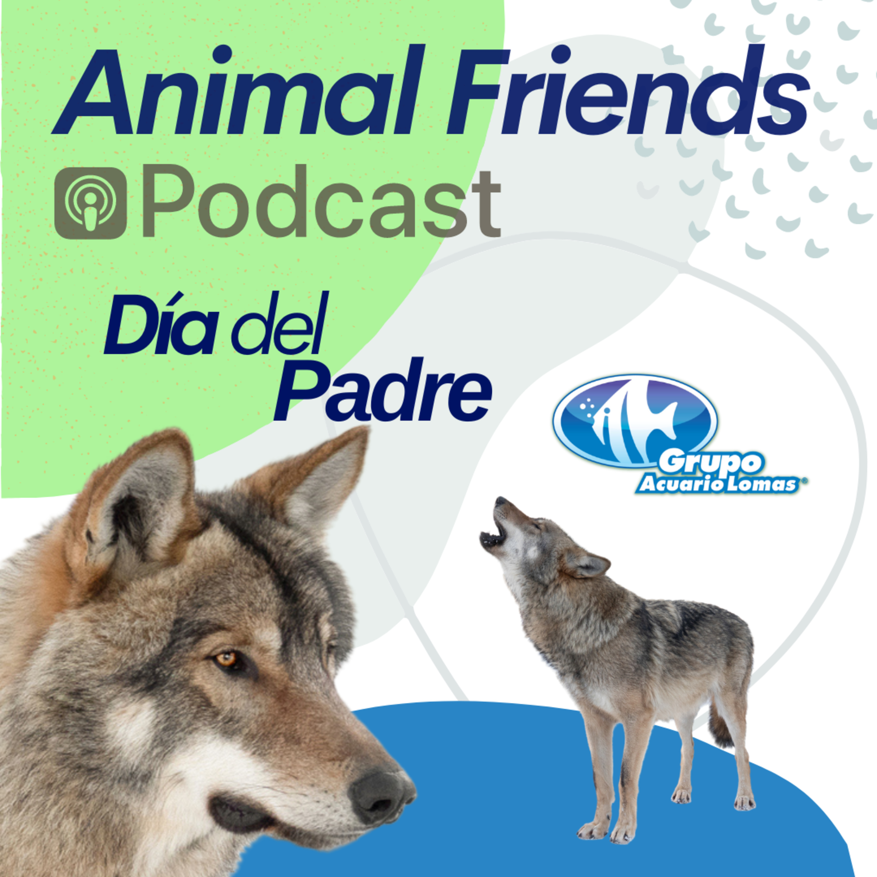 Animal Friends
