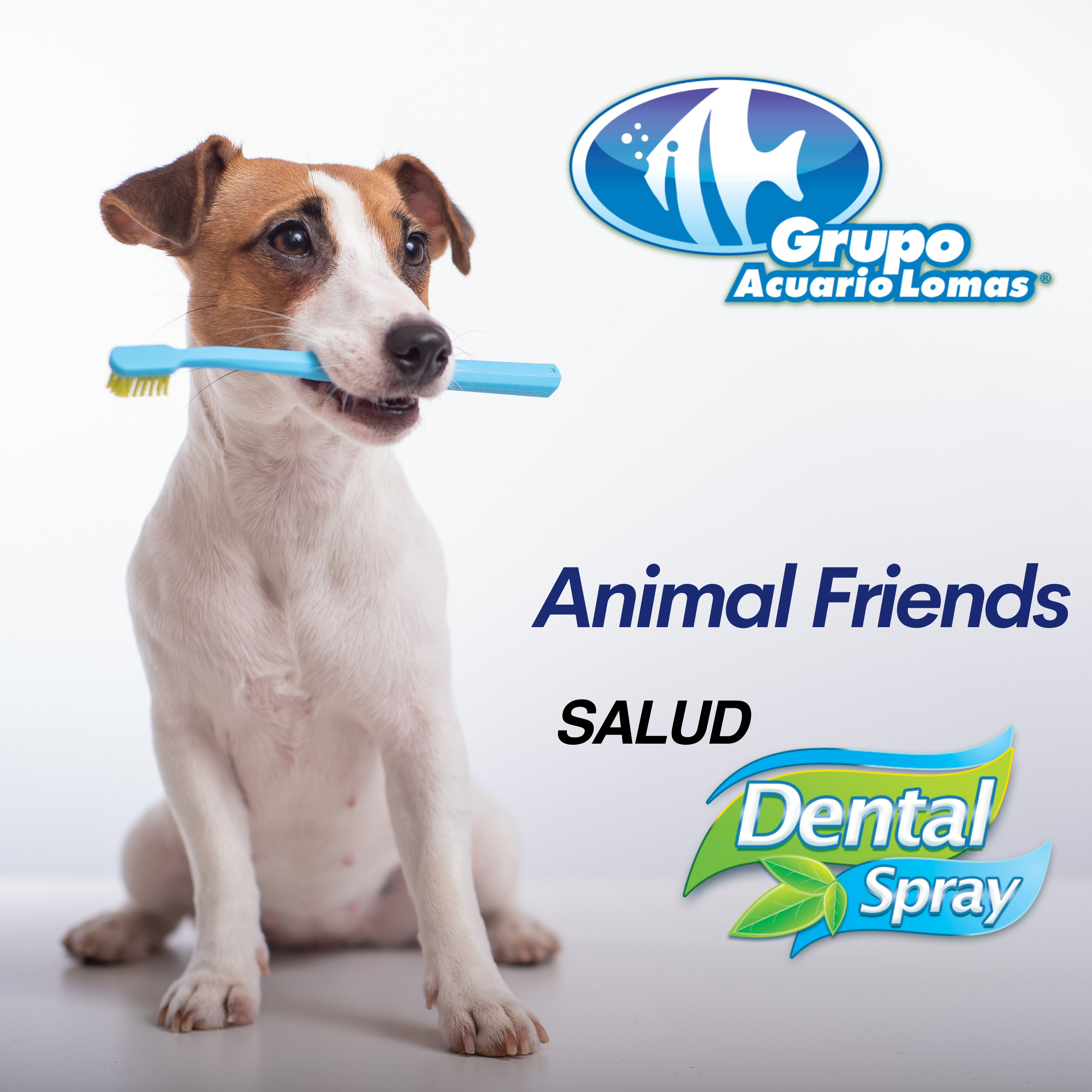 Animal Friends