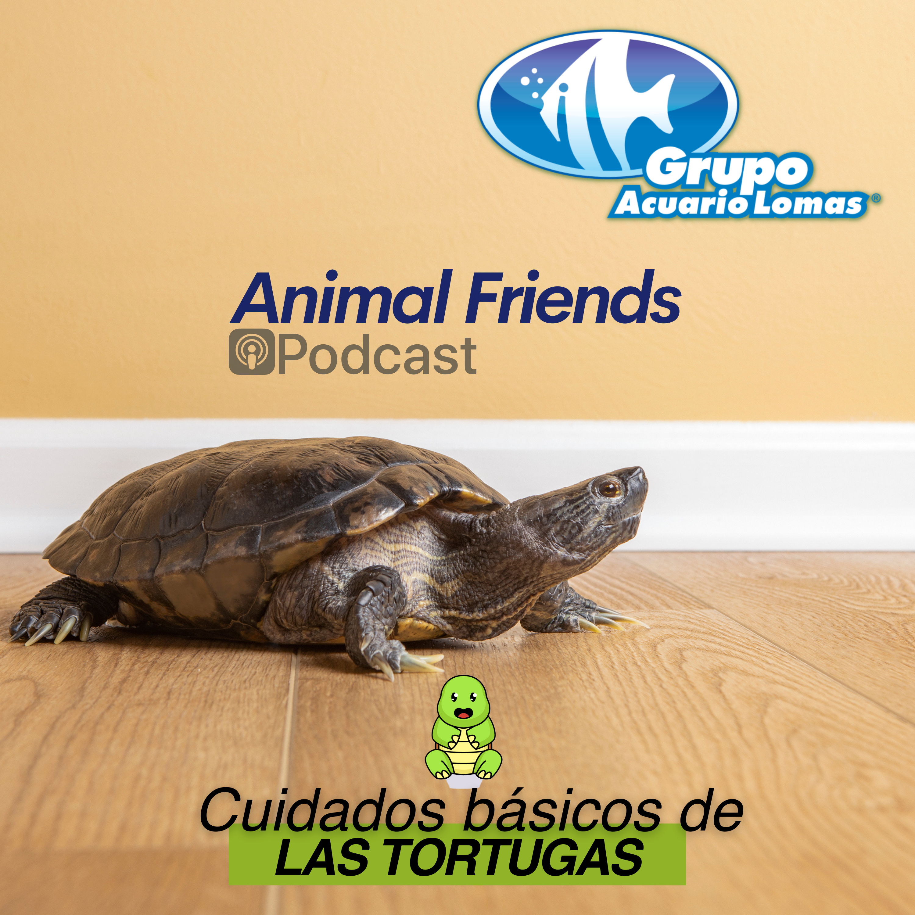 Animal Friends