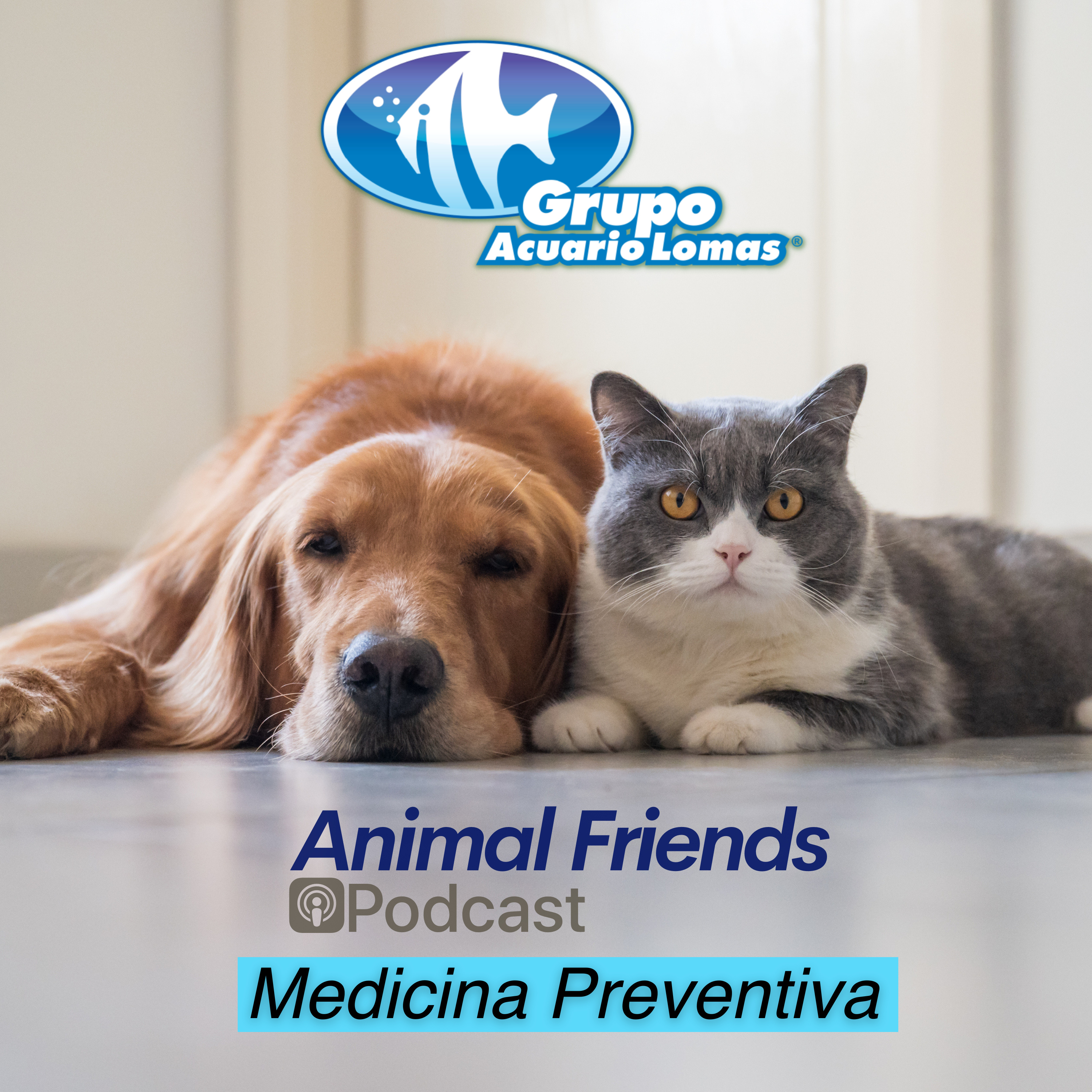Animal Friends