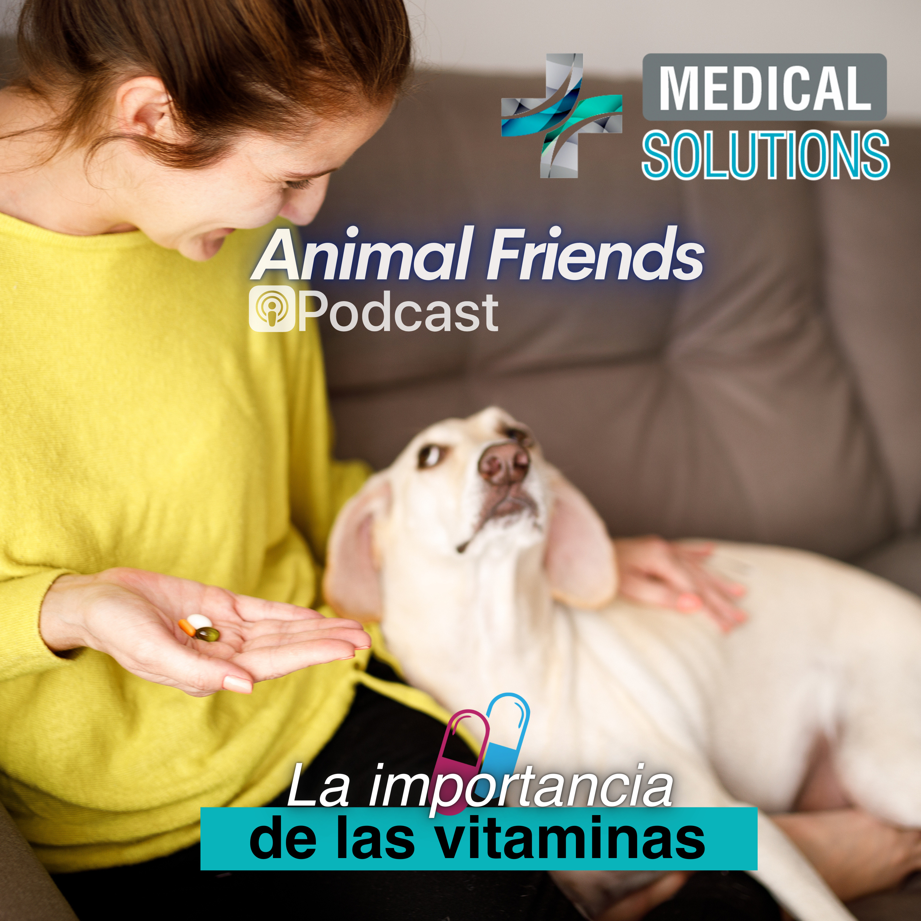 Animal Friends