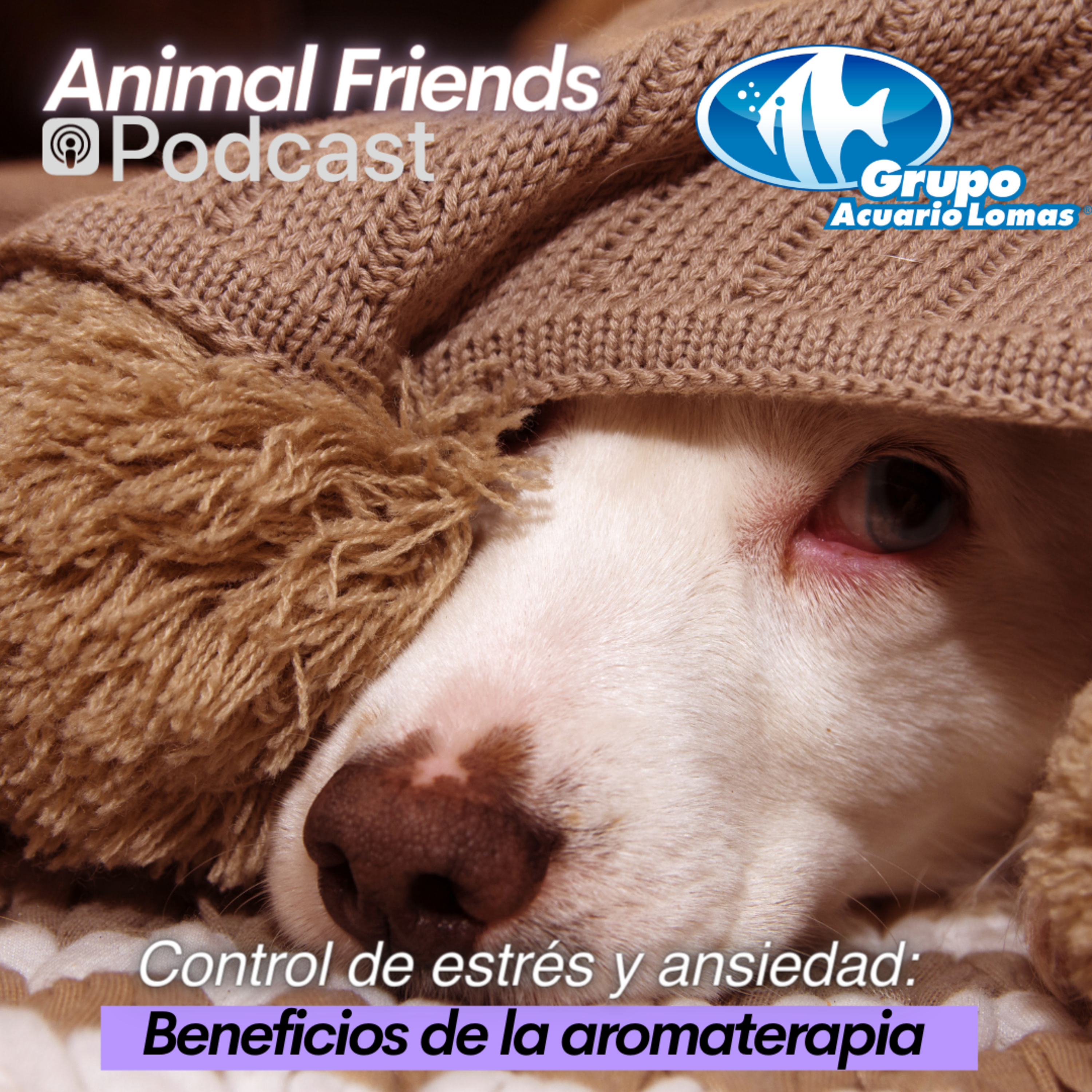Animal Friends