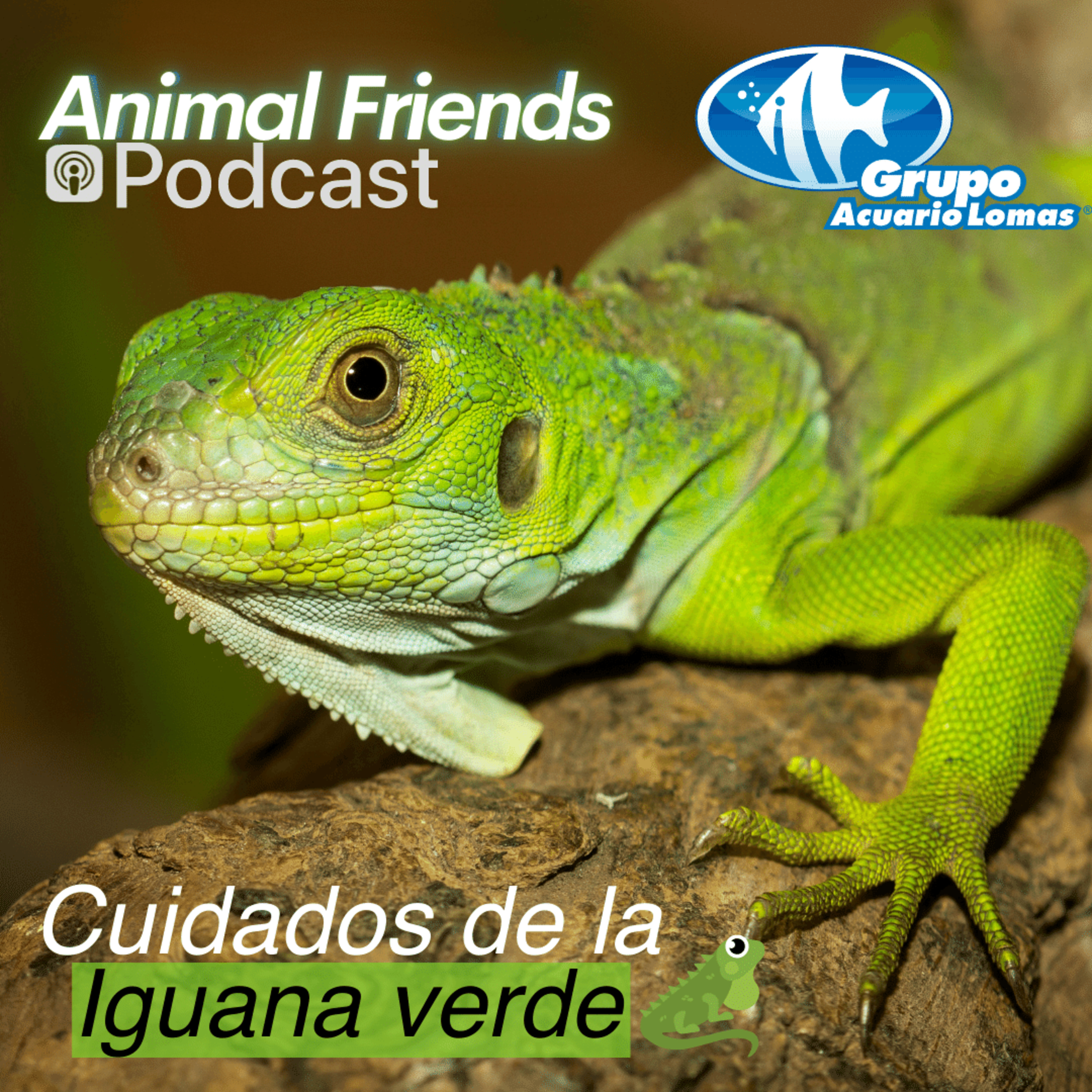 Animal Friends